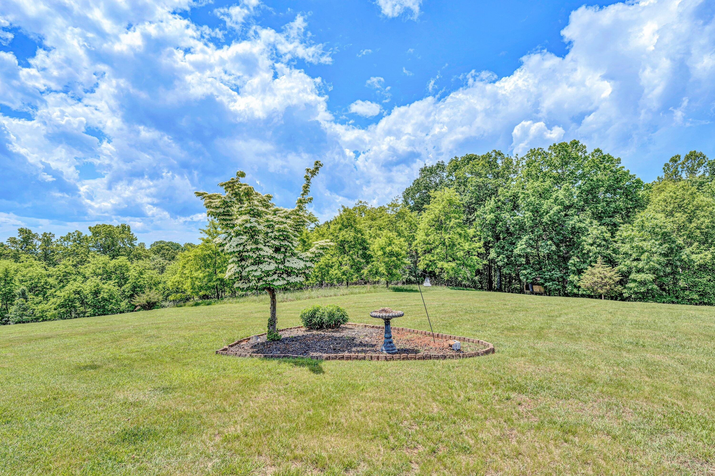 3397 Hales Ford Rd, Moneta, Virginia image 28