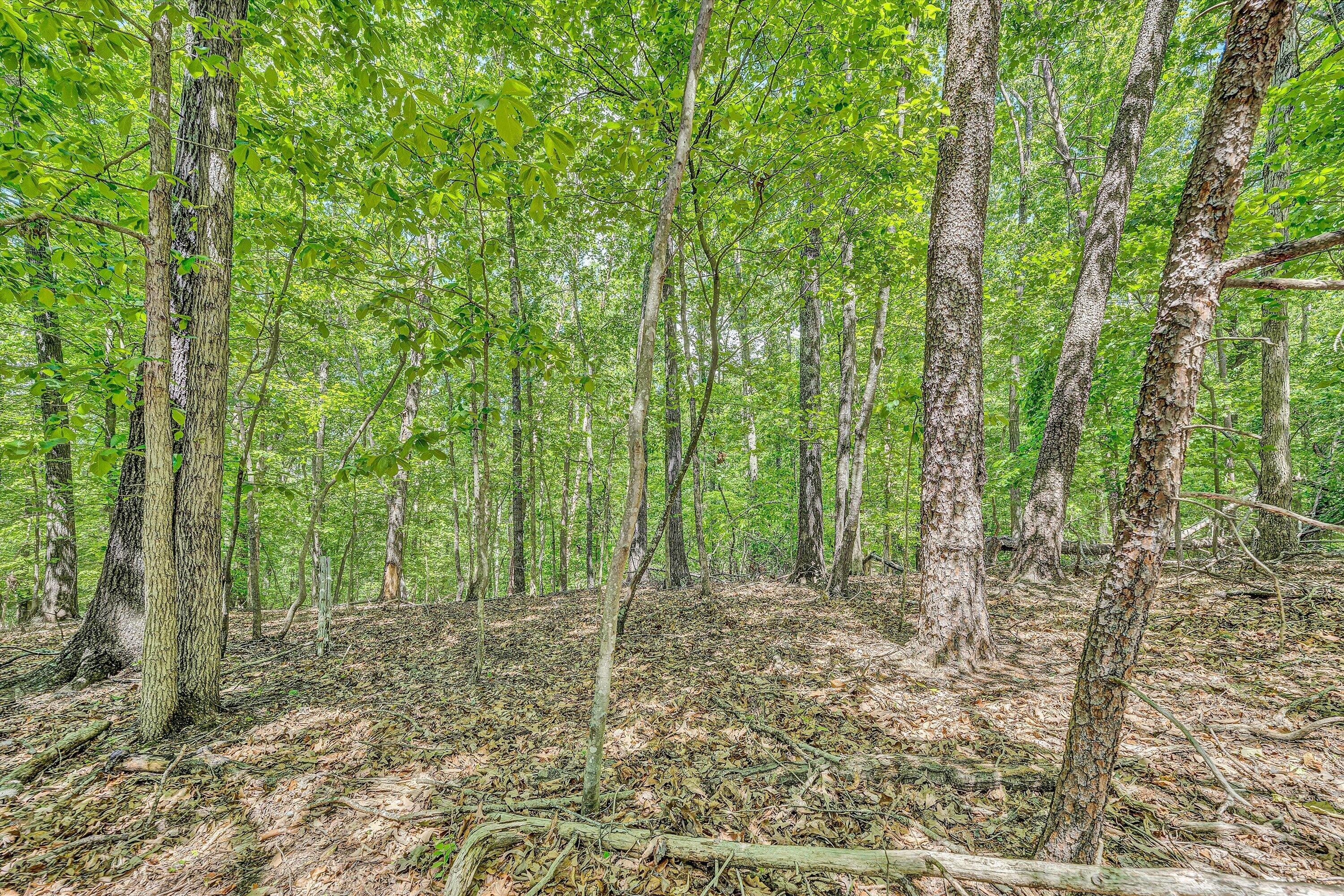 Lot 27 Oak Hollow Rd, Moneta, Virginia image 4