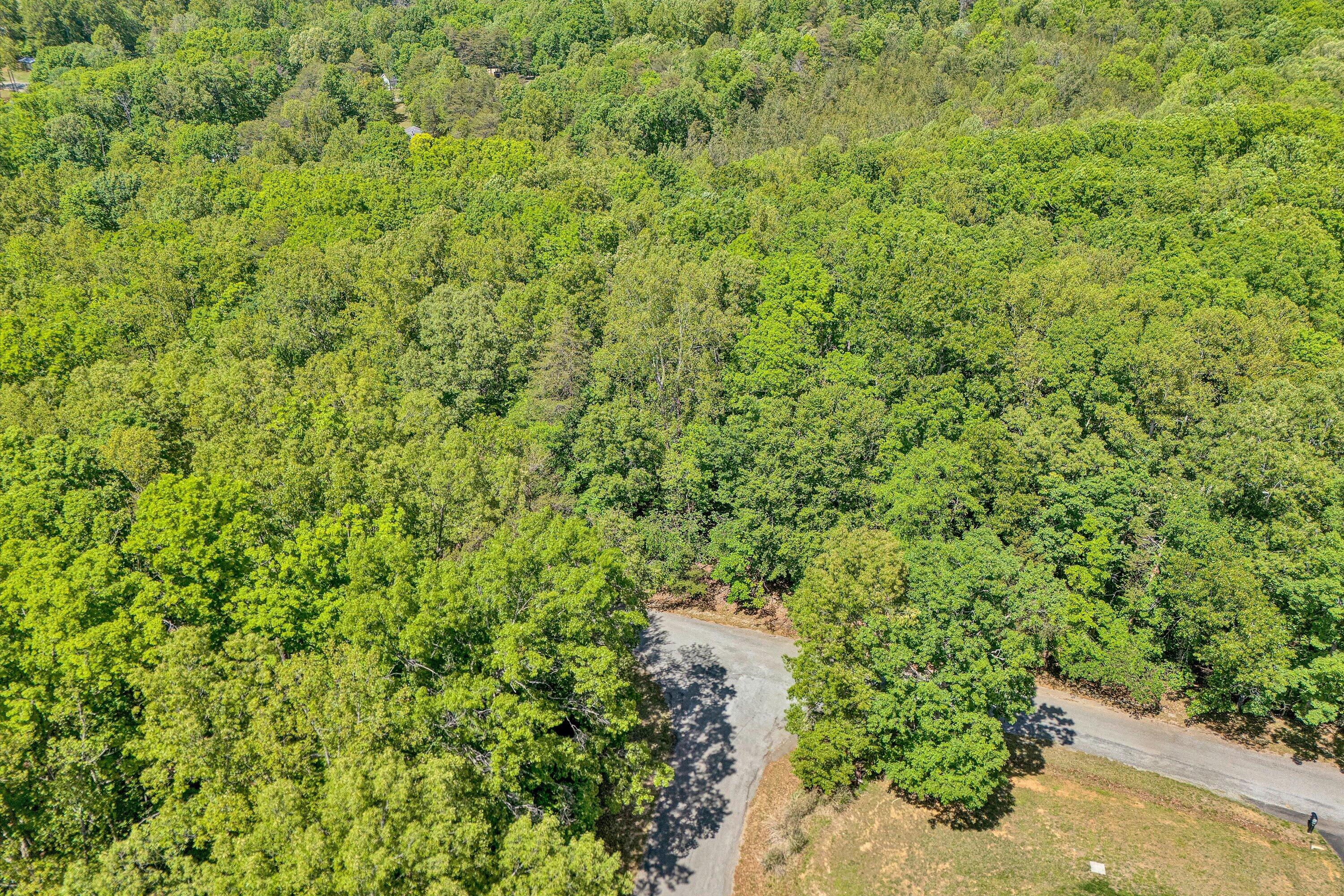 Lot 27 Oak Hollow Rd, Moneta, Virginia image 5