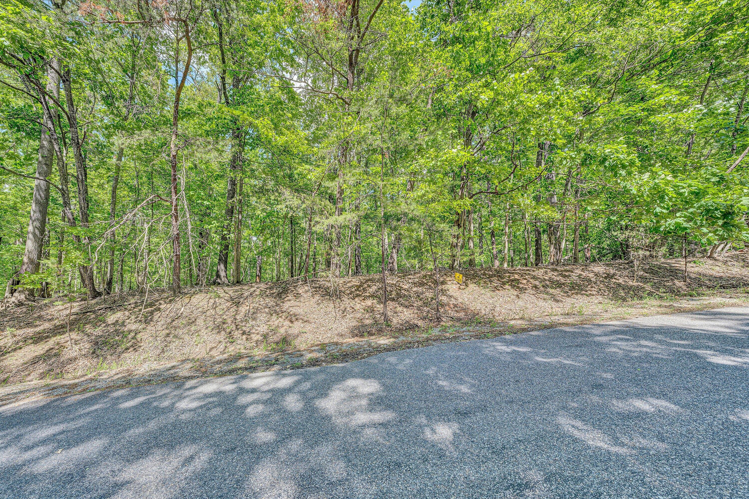 Lot 27 Oak Hollow Rd, Moneta, Virginia image 3