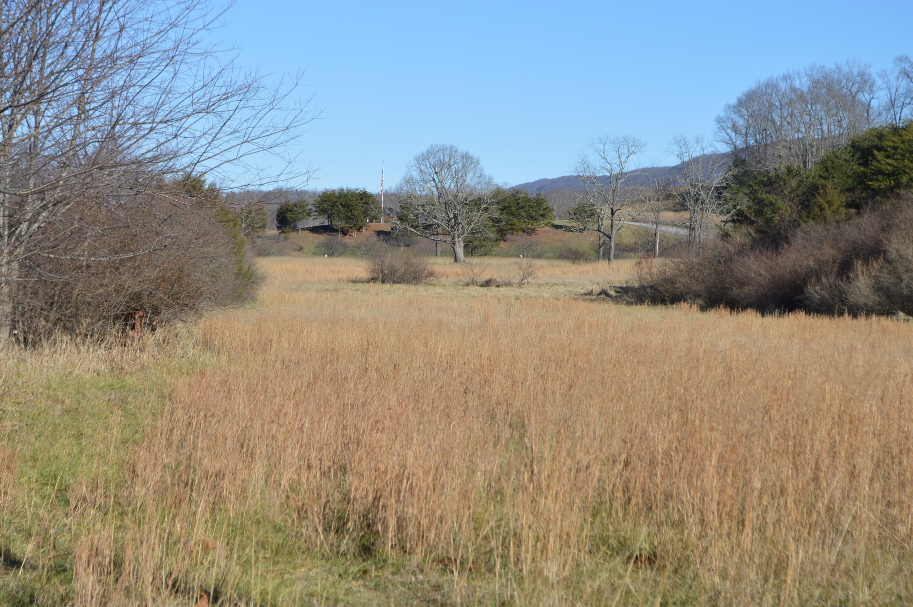 Johns Creek Mountain Rd, New Castle, Virginia image 4