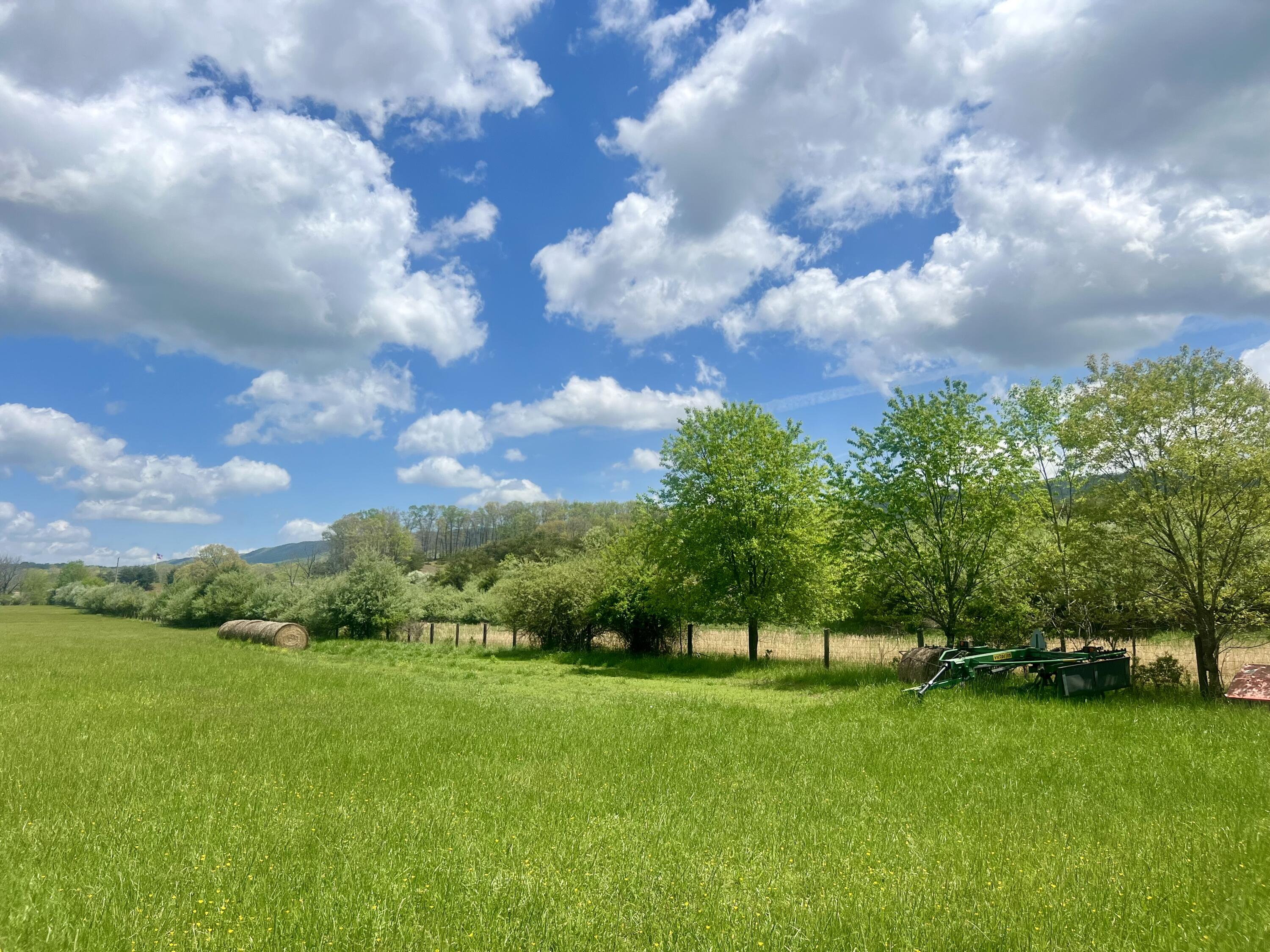 Johns Creek Mountain Rd, New Castle, Virginia image 6