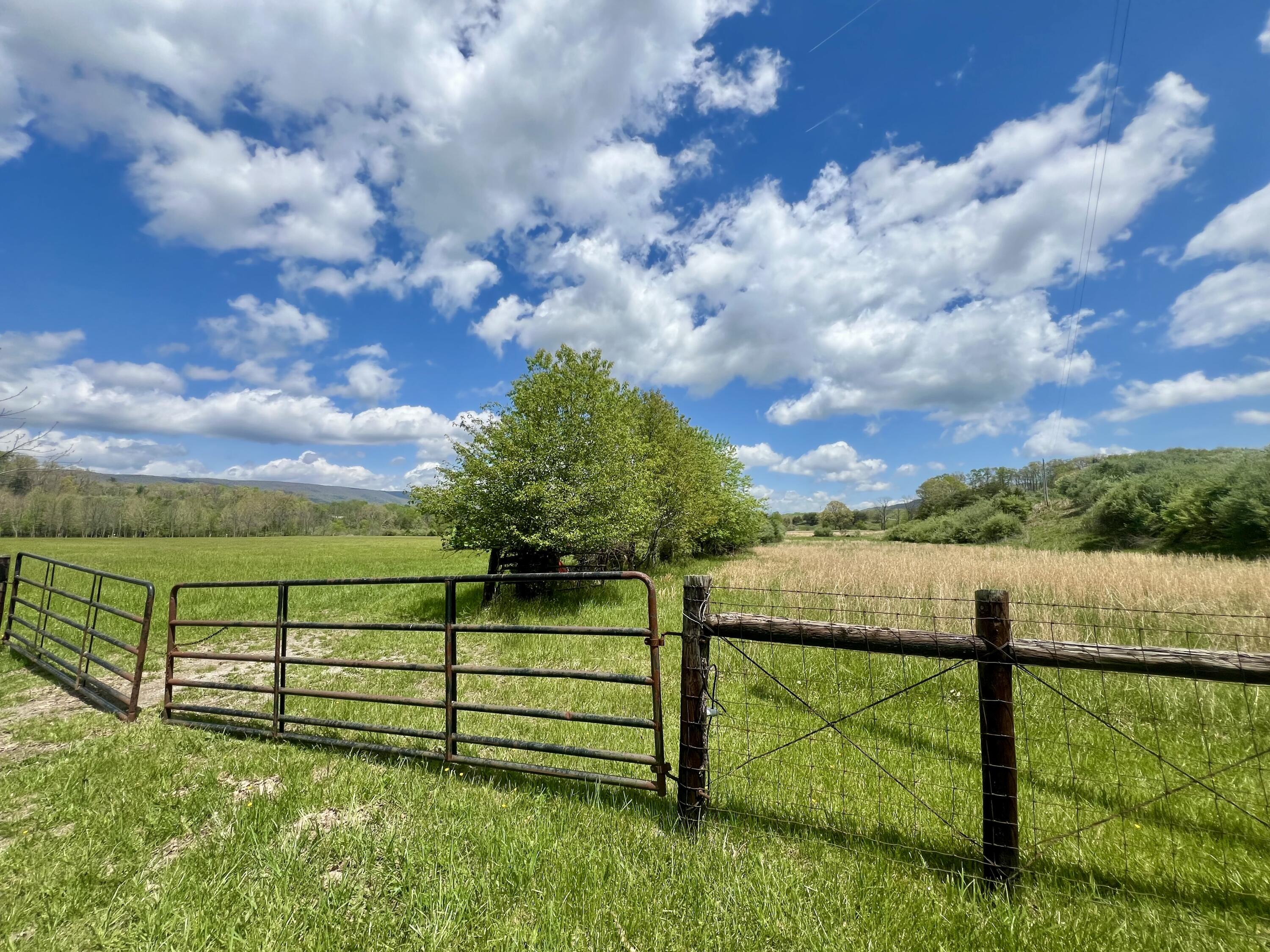 Johns Creek Mountain Rd, New Castle, Virginia image 8
