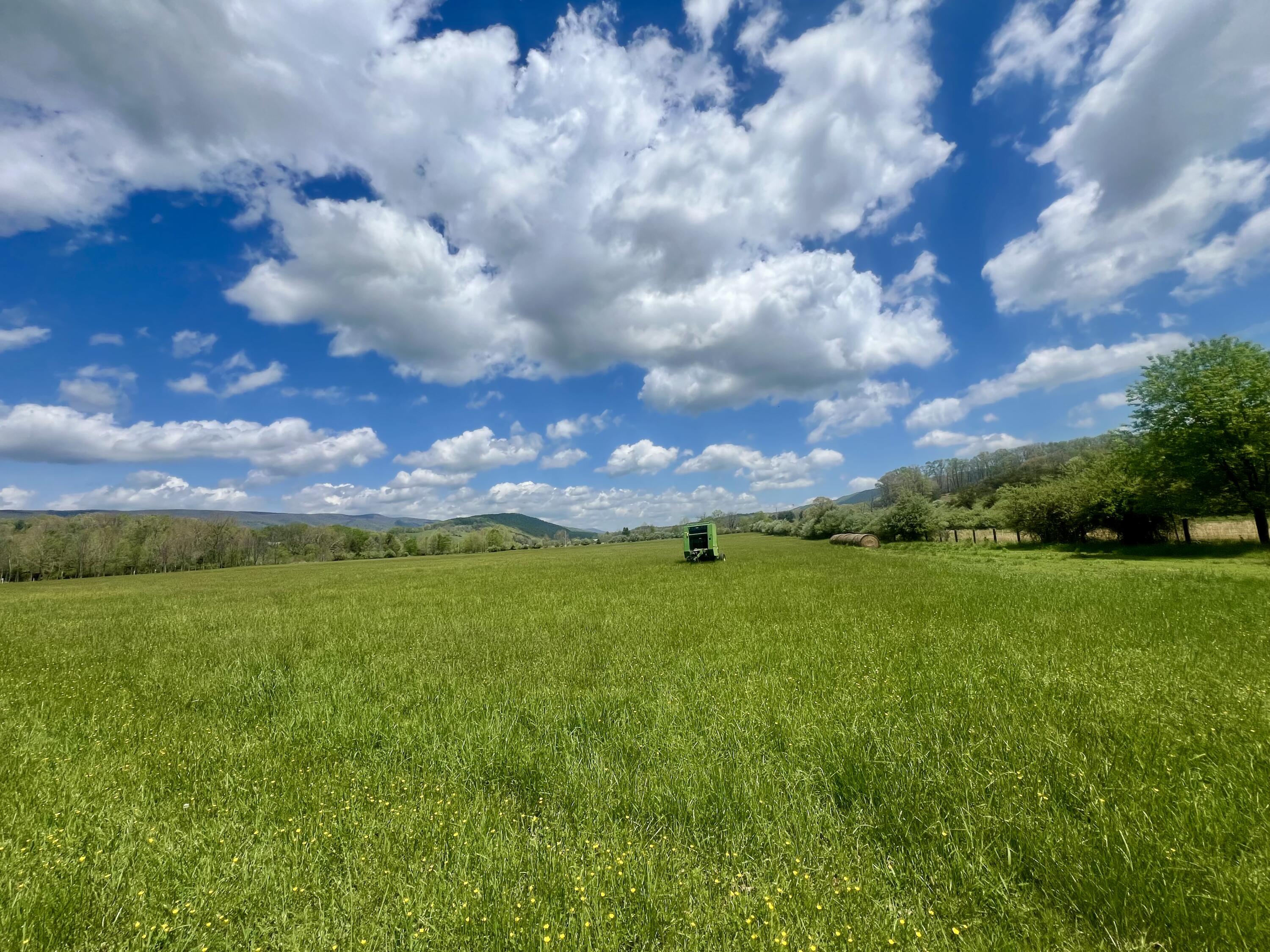 Johns Creek Mountain Rd, New Castle, Virginia image 1