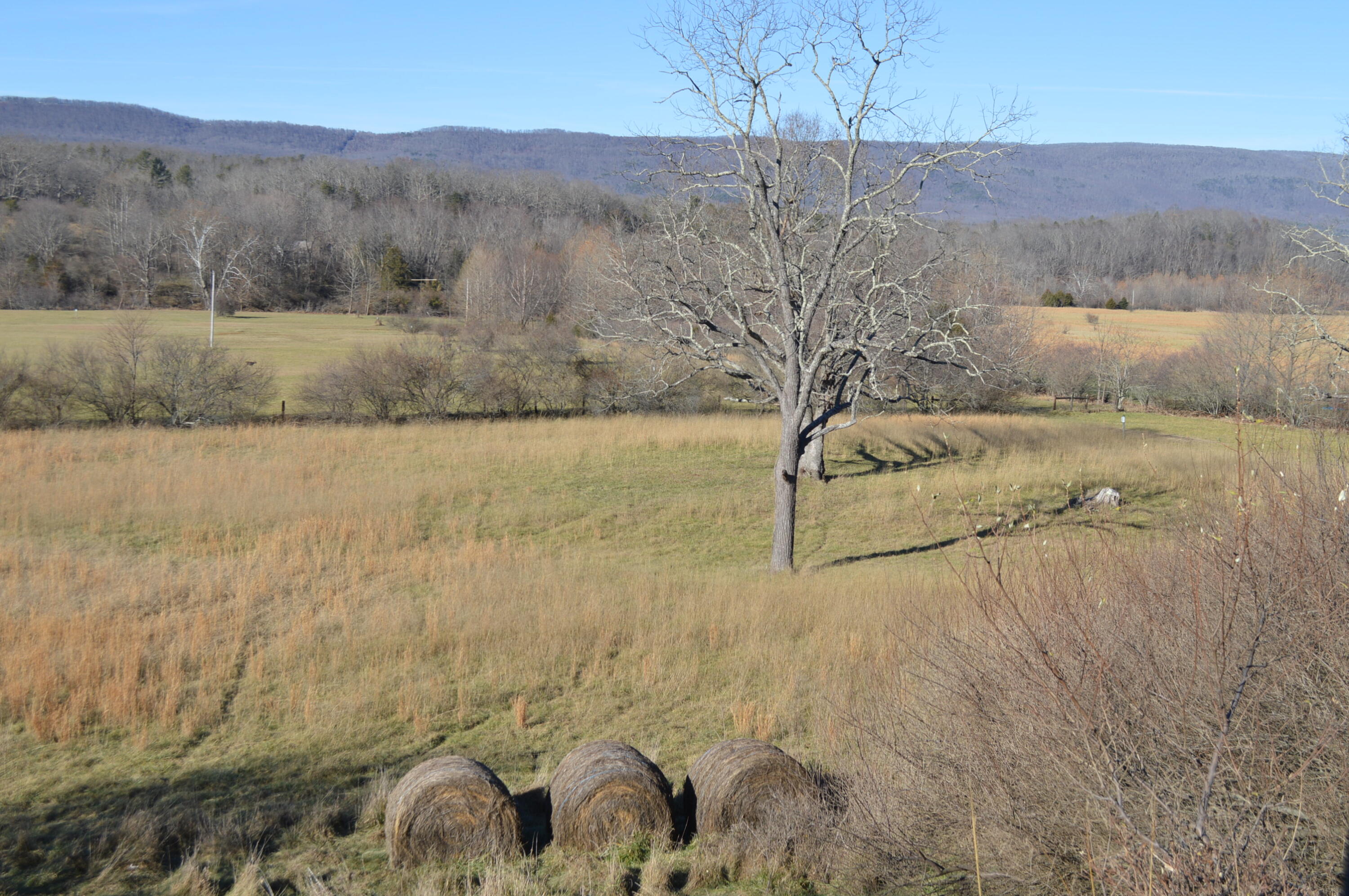 Johns Creek Mountain Rd, New Castle, Virginia image 5