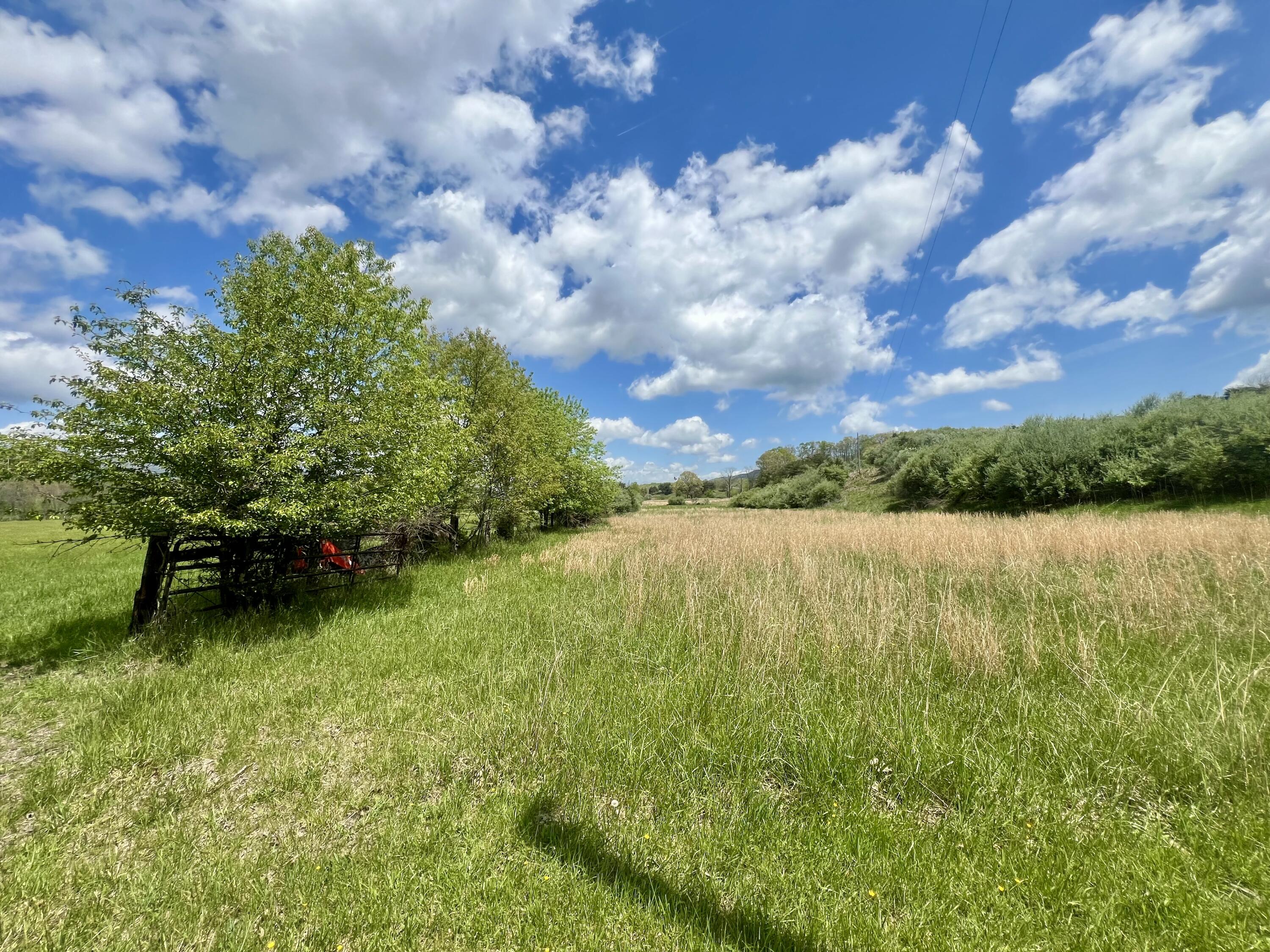Johns Creek Mountain Rd, New Castle, Virginia image 9