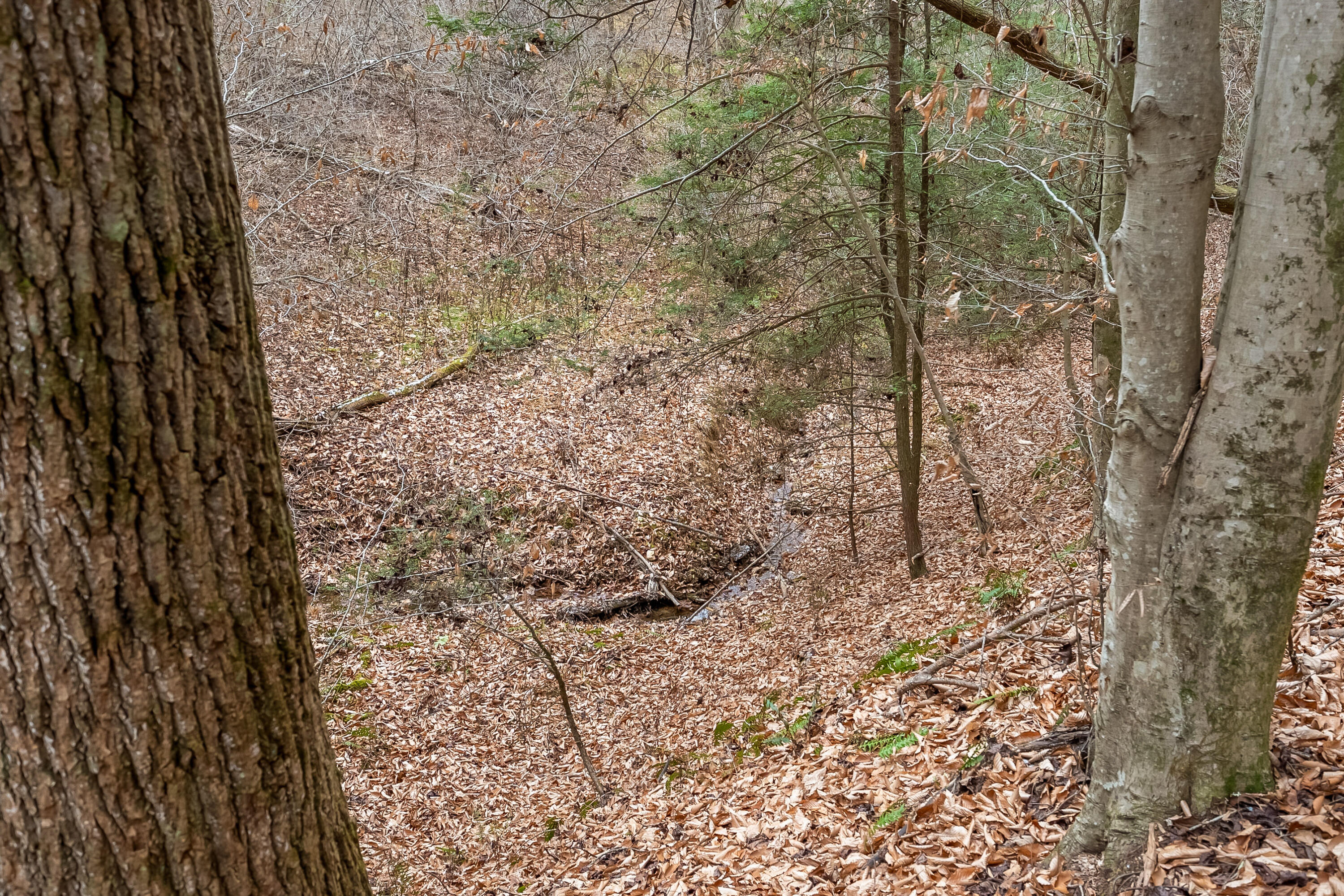 391 Airport Rd, Riner, Virginia image 41