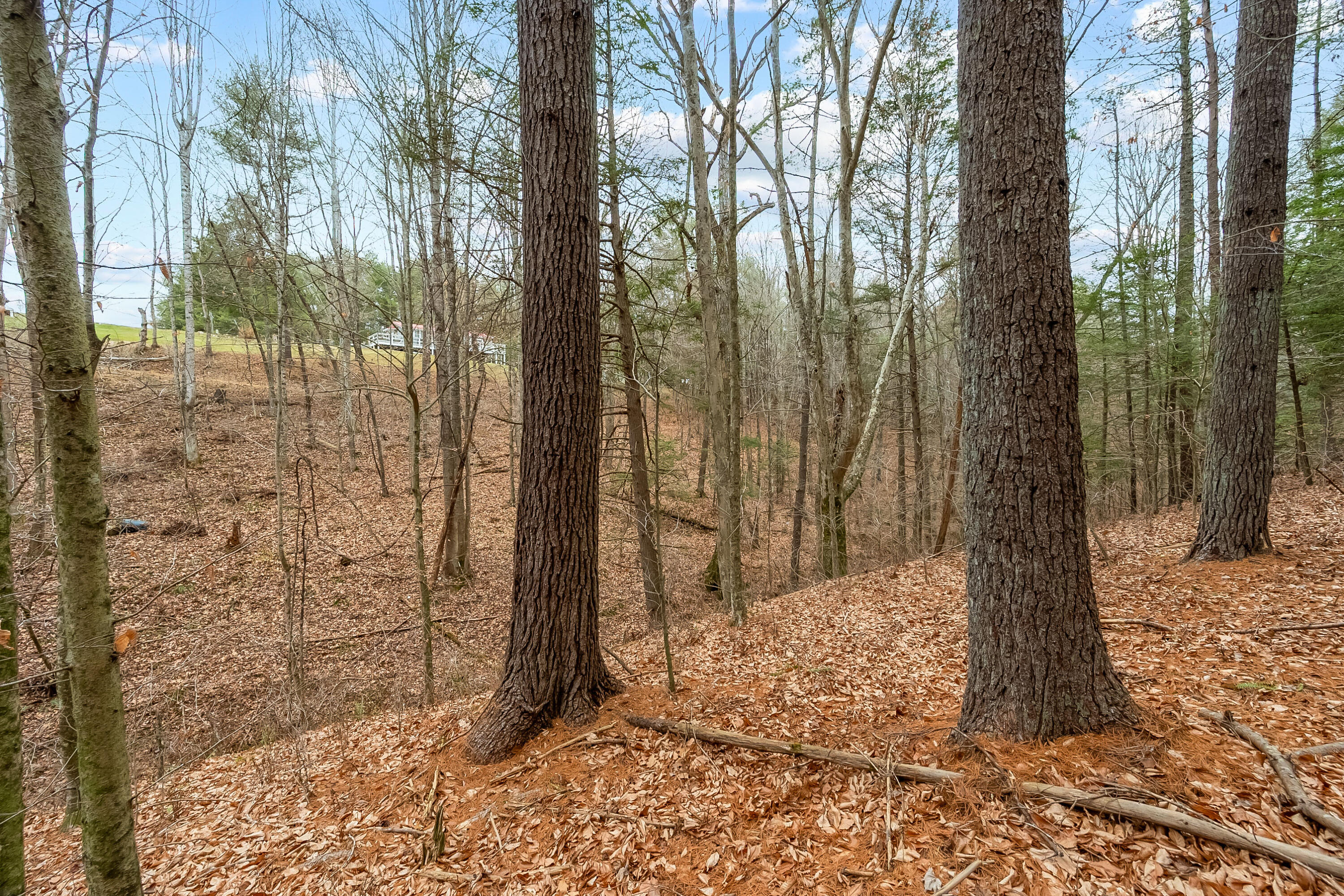 391 Airport Rd, Riner, Virginia image 44