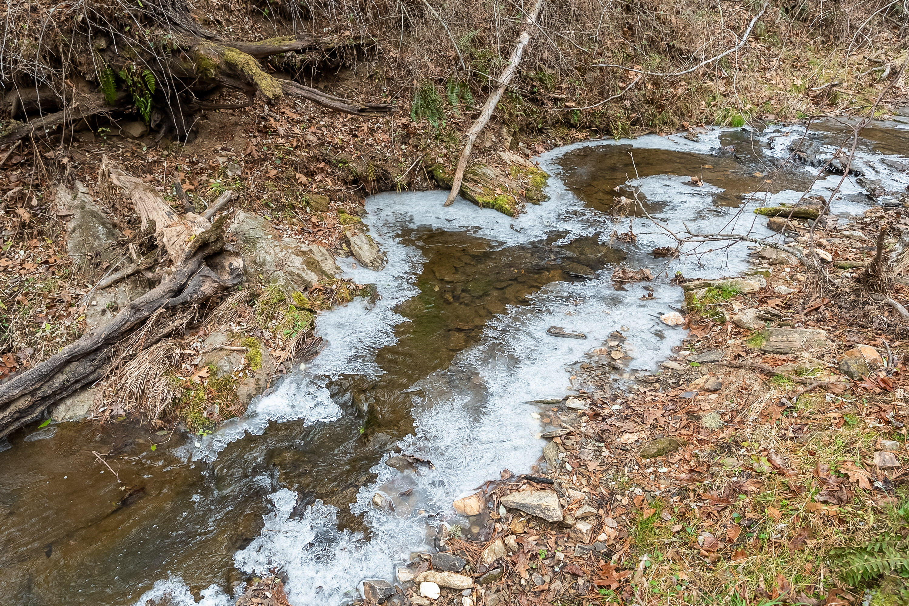 391 Airport Rd, Riner, Virginia image 50
