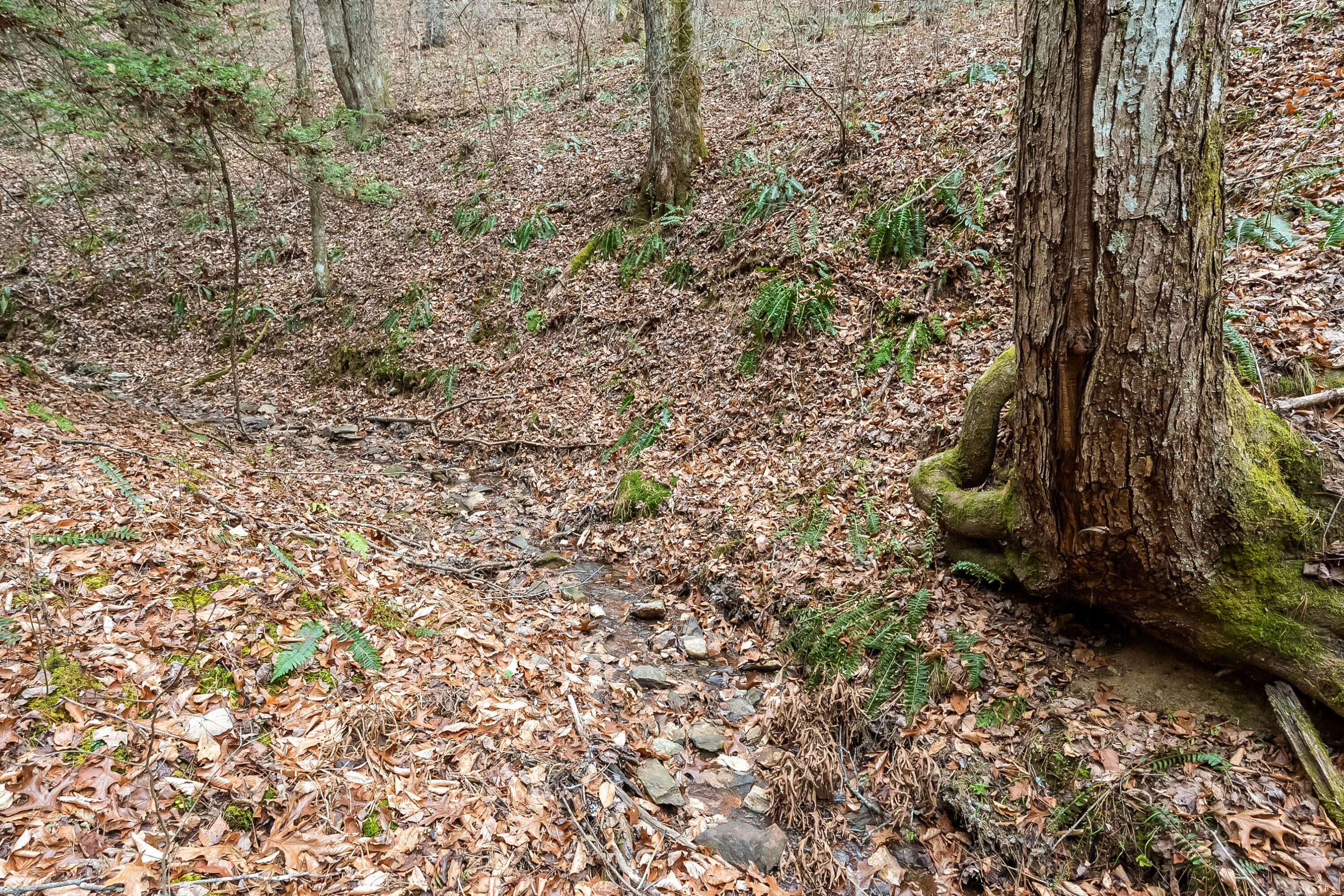 391 Airport Rd, Riner, Virginia image 46