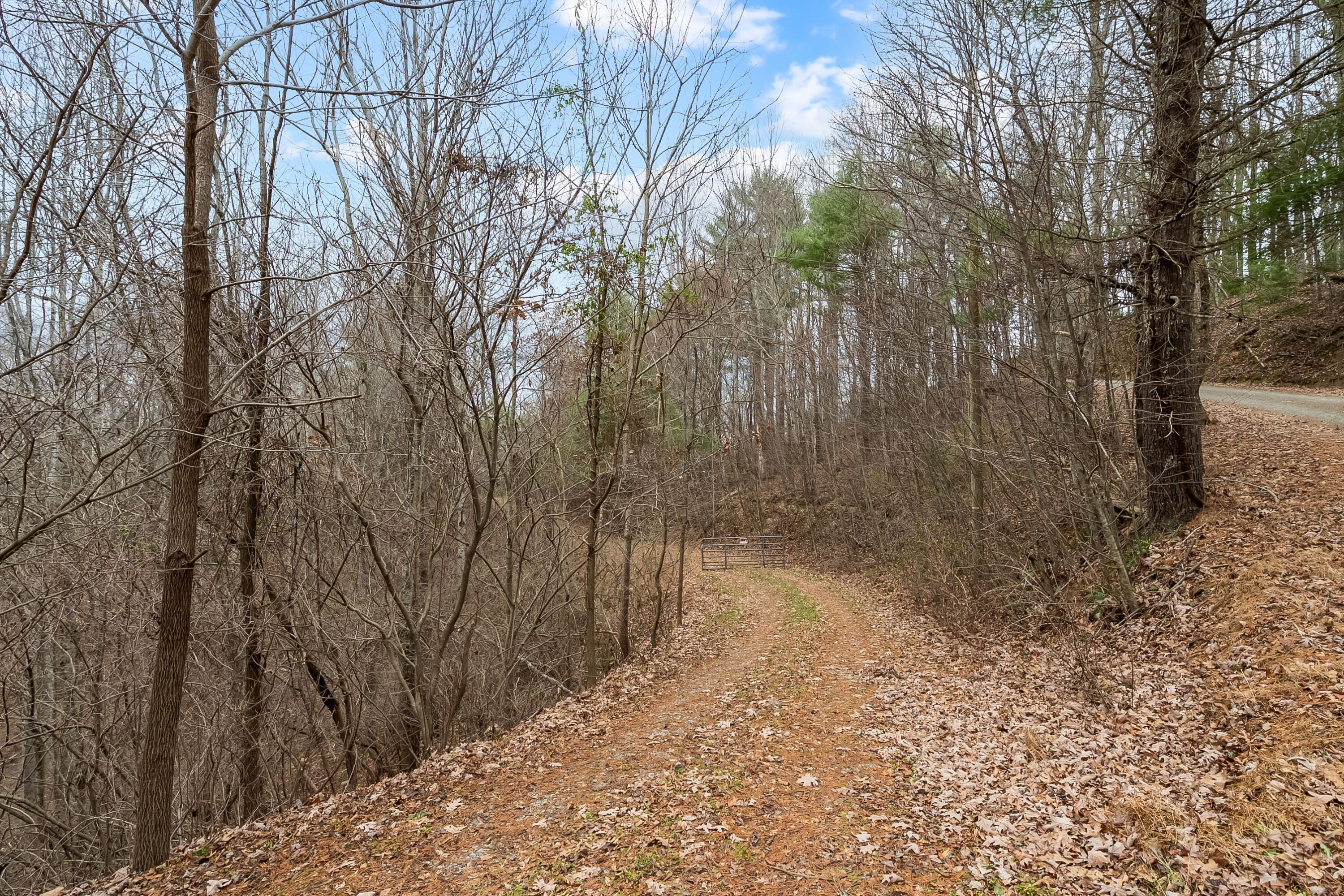 391 Airport Rd, Riner, Virginia image 6