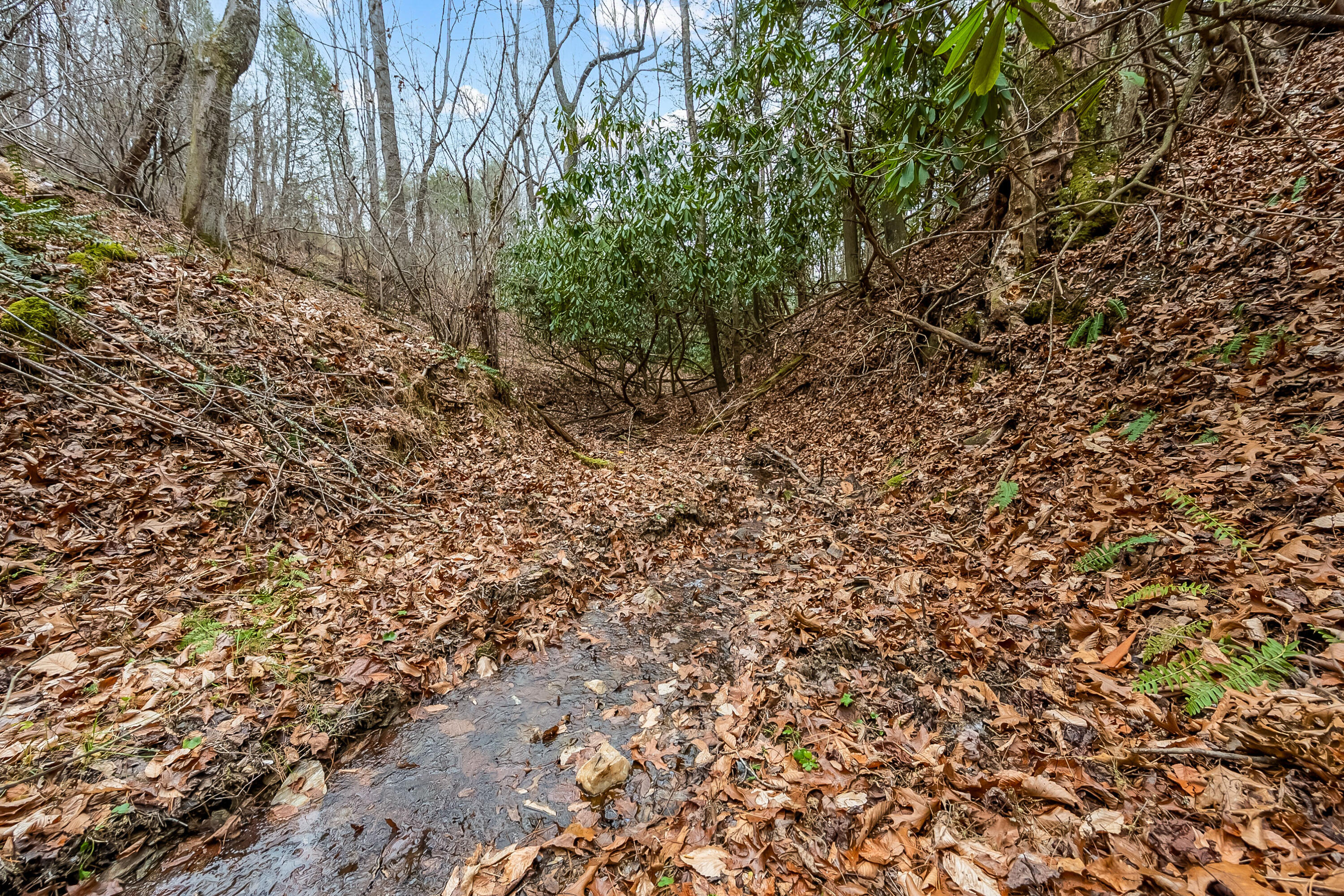 391 Airport Rd, Riner, Virginia image 47