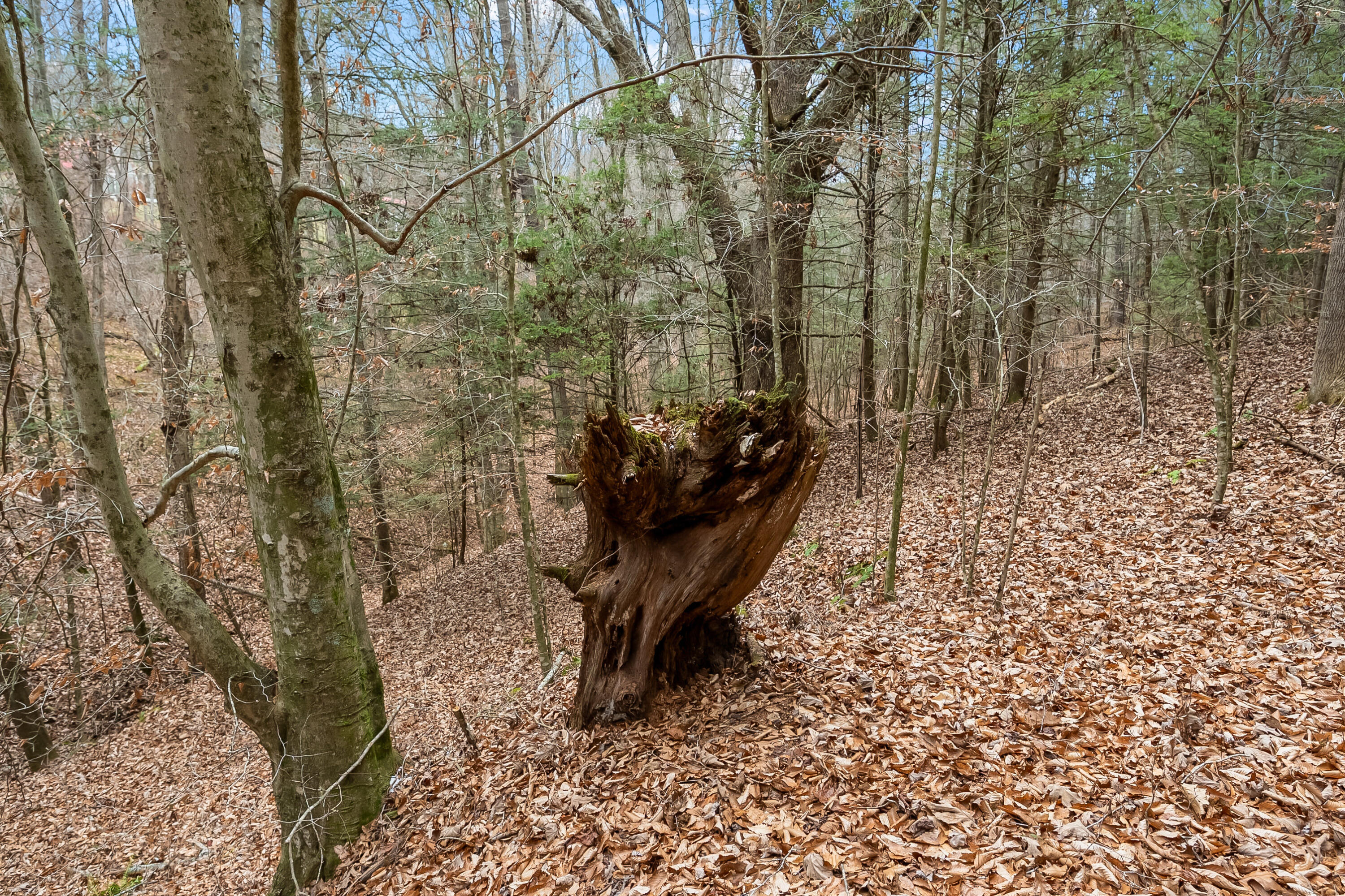 391 Airport Rd, Riner, Virginia image 42