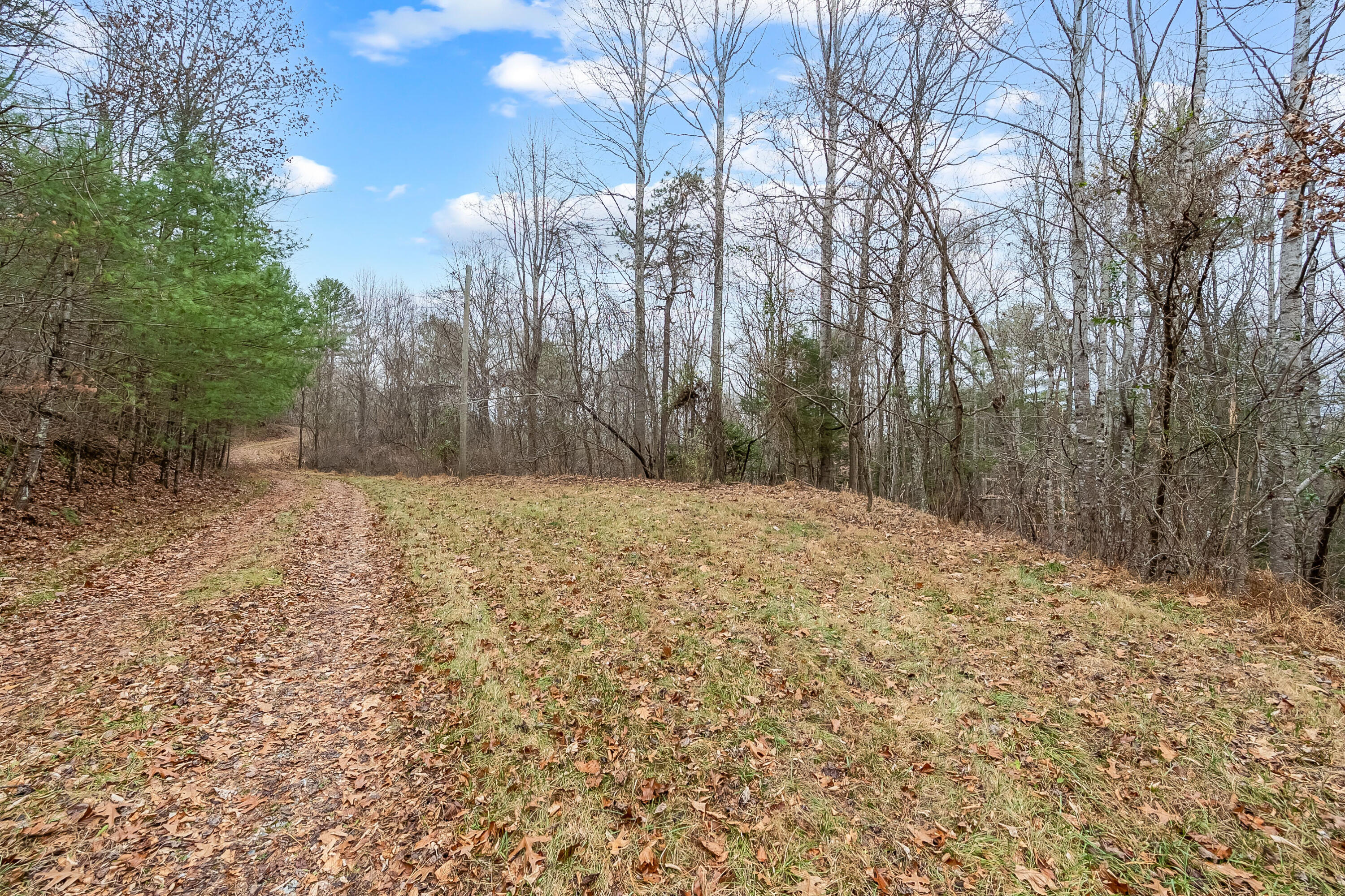 391 Airport Rd, Riner, Virginia image 7