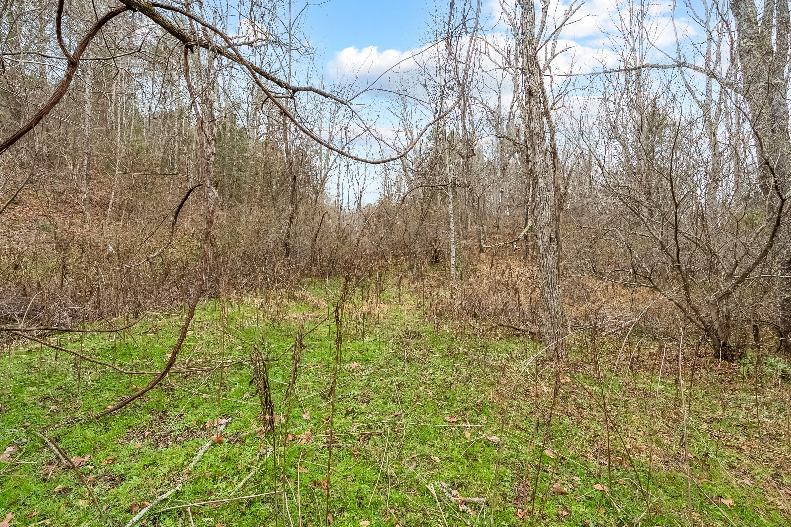 391 Airport Rd, Riner, Virginia image 48