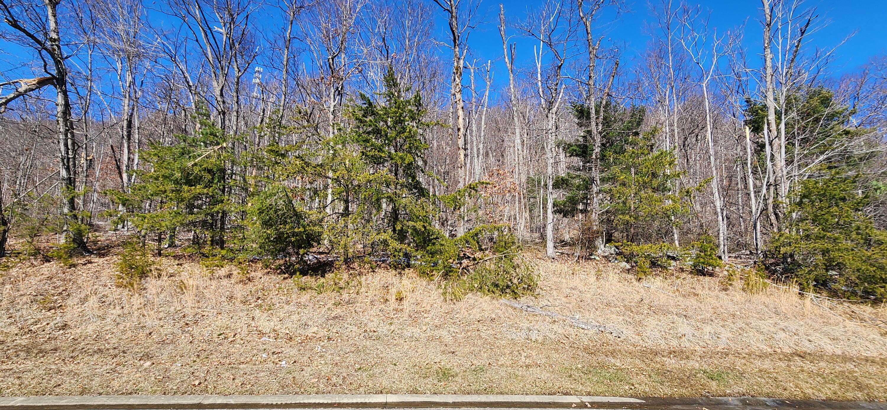 Lot 19 Summit Dr, Rocky Mount, Virginia image 1