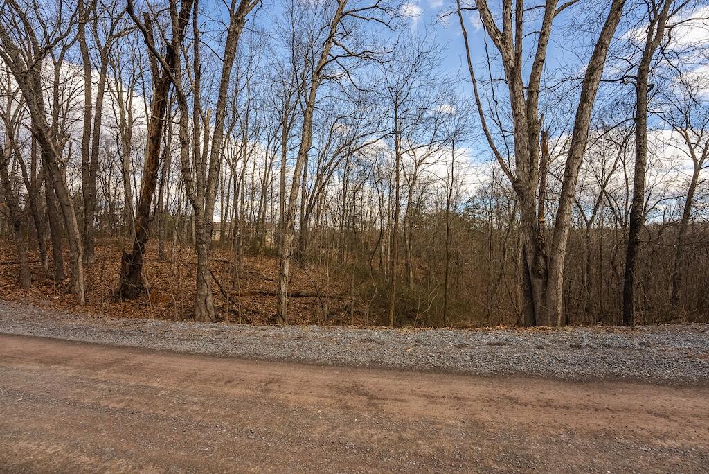 New Hope Rd, Cross Junction, Virginia image 7