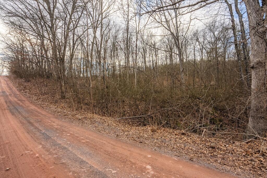 New Hope Rd, Cross Junction, Virginia image 3