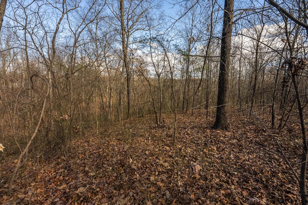 New Hope Rd, Cross Junction, Virginia image 10