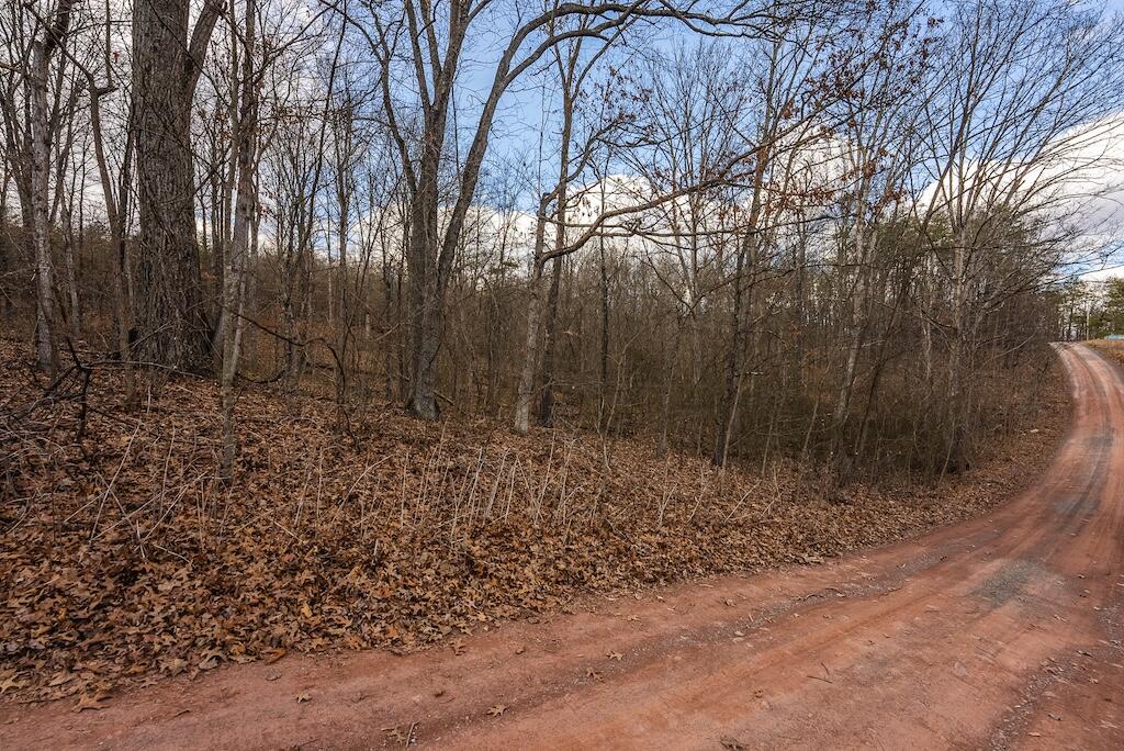 New Hope Rd, Cross Junction, Virginia image 4