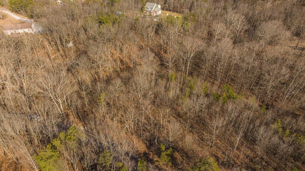 New Hope Rd, Cross Junction, Virginia image 14