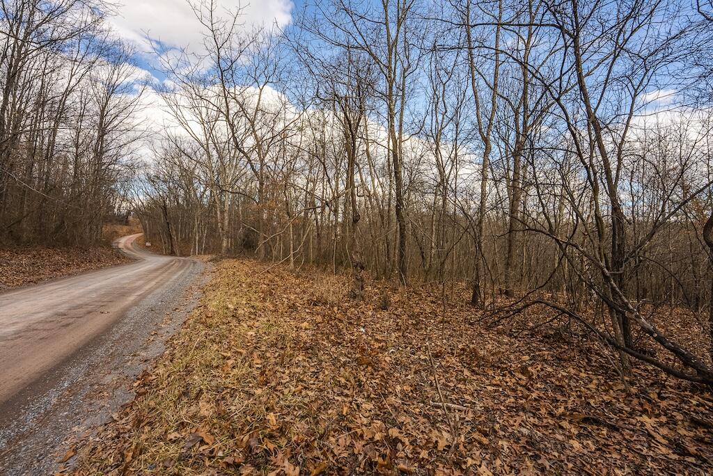 New Hope Rd, Cross Junction, Virginia image 9
