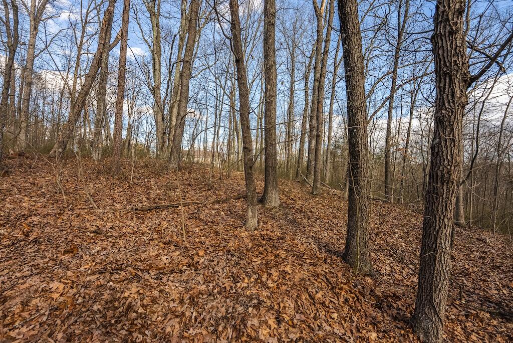 New Hope Rd, Cross Junction, Virginia image 11