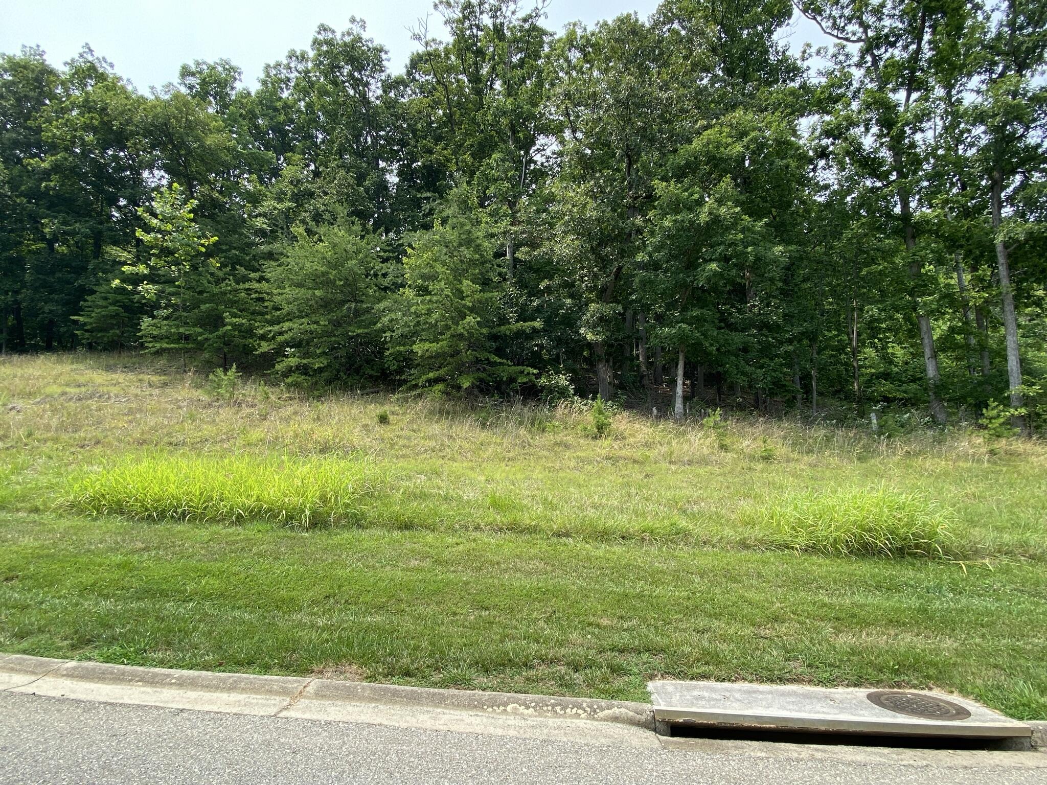 LOT 11 Summit Dr, Rocky Mount, Virginia image 2