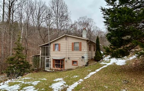 Vacant Land For Sale - 308 Spring Hollow Rd<br/> Troutville, VA 24175