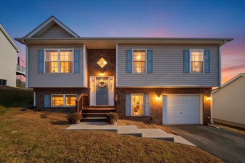 Homes For Sale - 317 Timothy Ln<br/> Roanoke, VA 24017