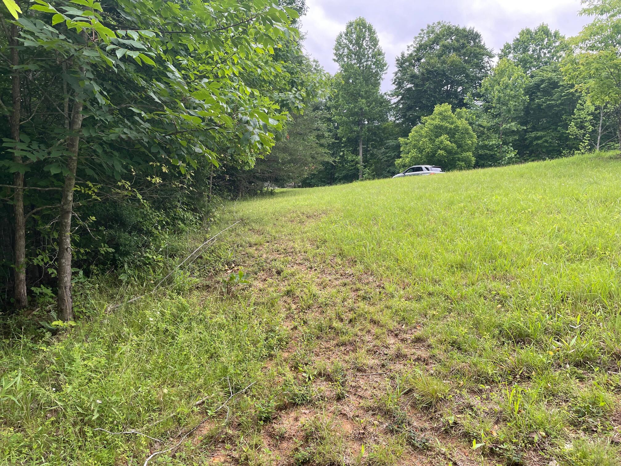 LOT 10 Point Dr, Hardy, Virginia image 6