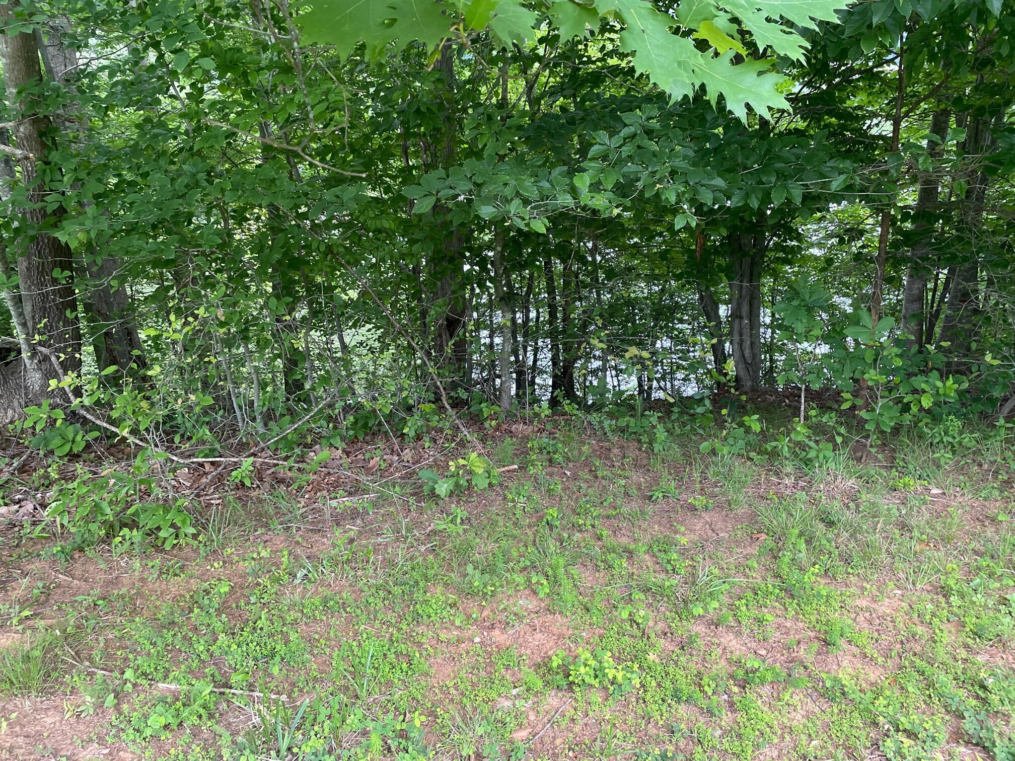 LOT 10 Point Dr, Hardy, Virginia image 8