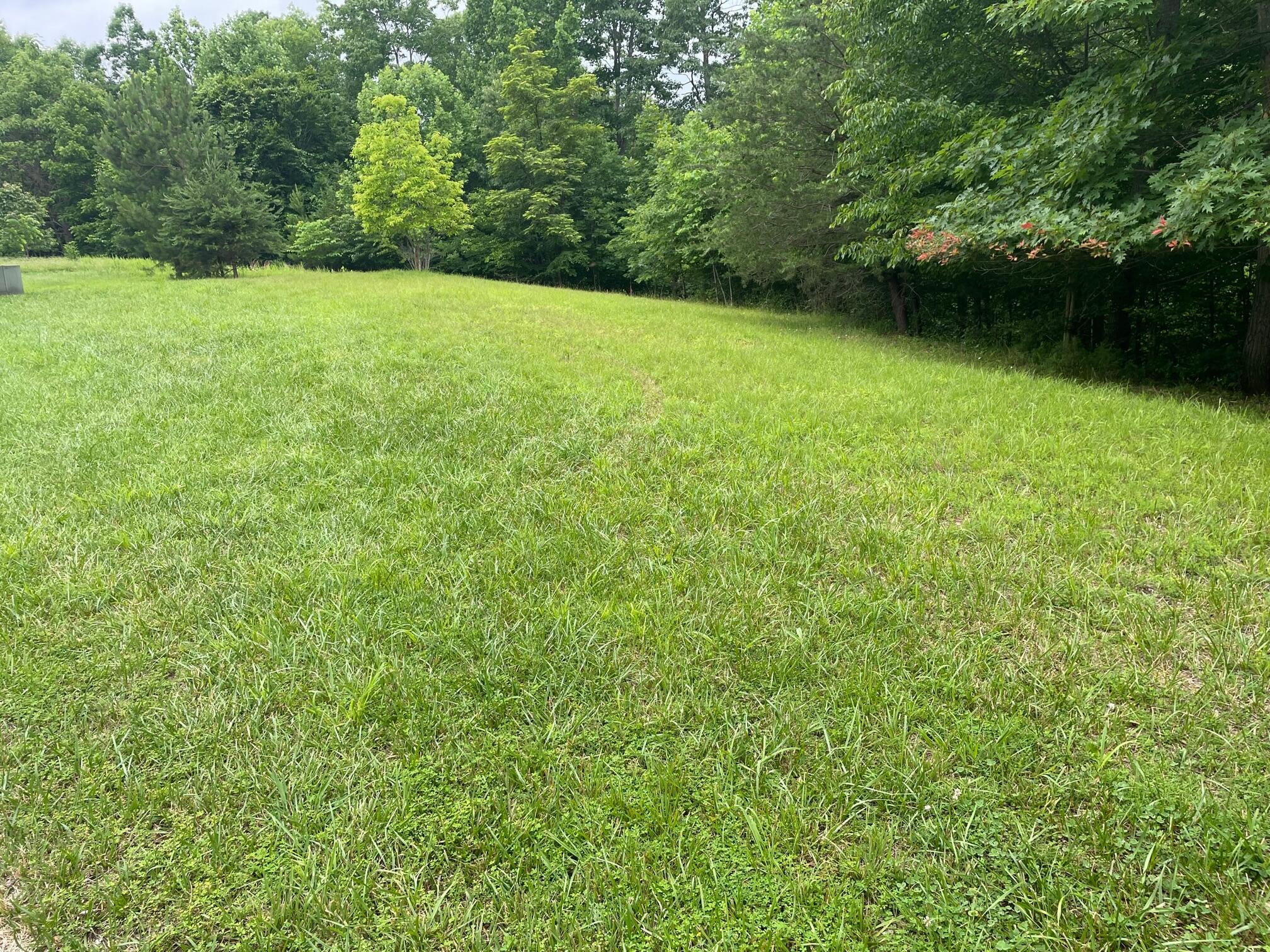 LOT 10 Point Dr, Hardy, Virginia image 3