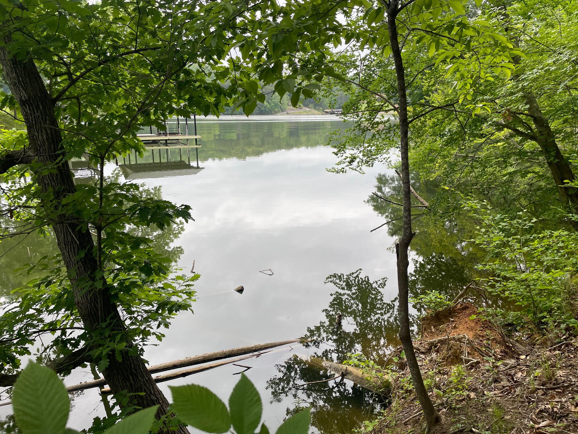 LOT 10 Point Dr, Hardy, Virginia image 10