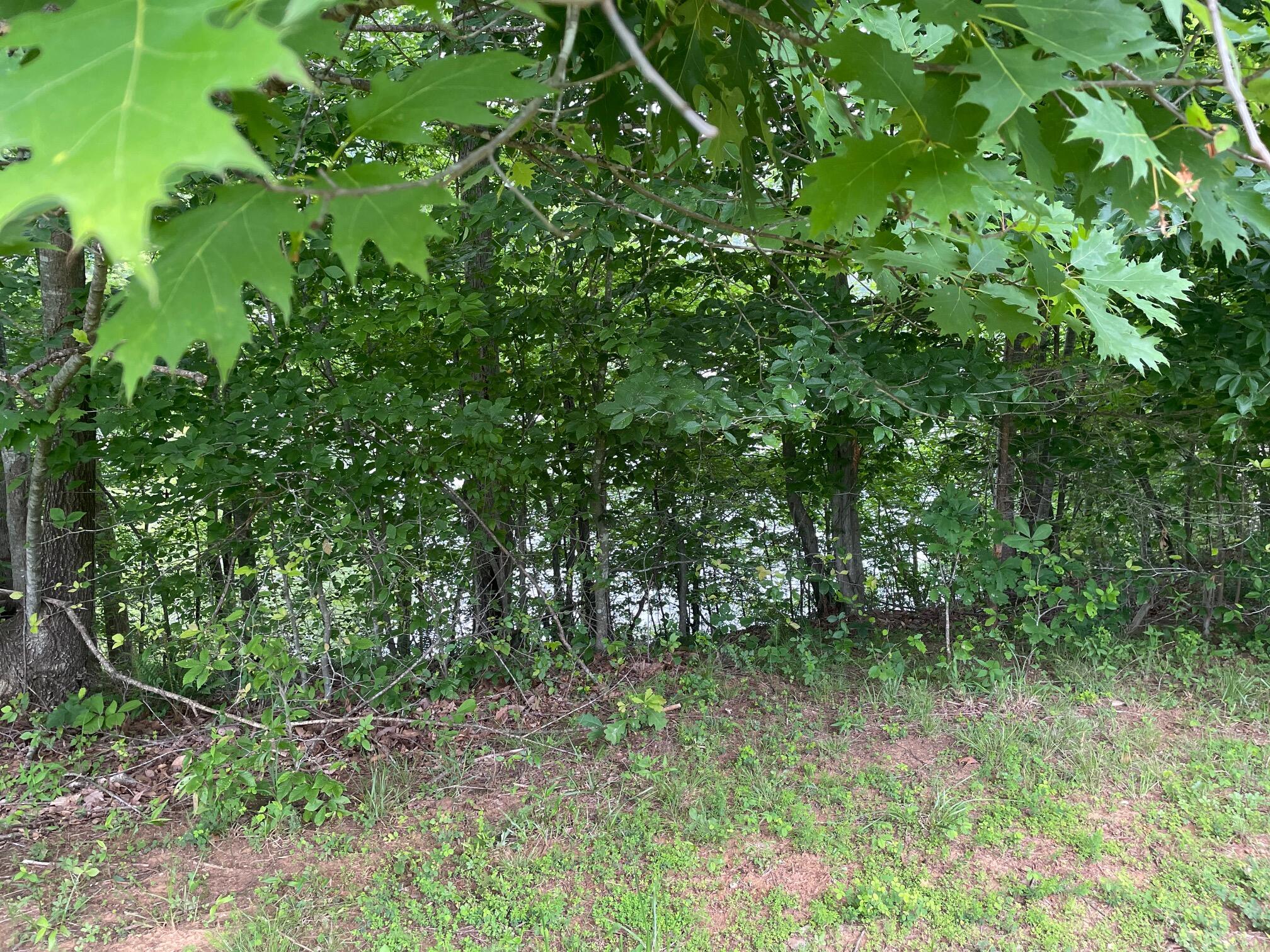 LOT 10 Point Dr, Hardy, Virginia image 7