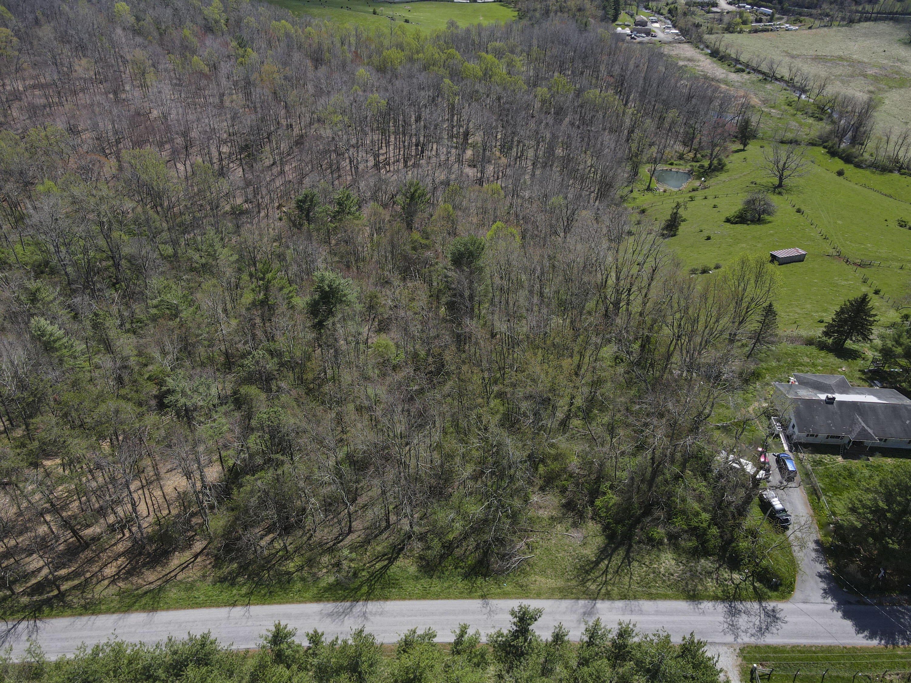 Tract A Penn Rd, Floyd, Virginia image 6