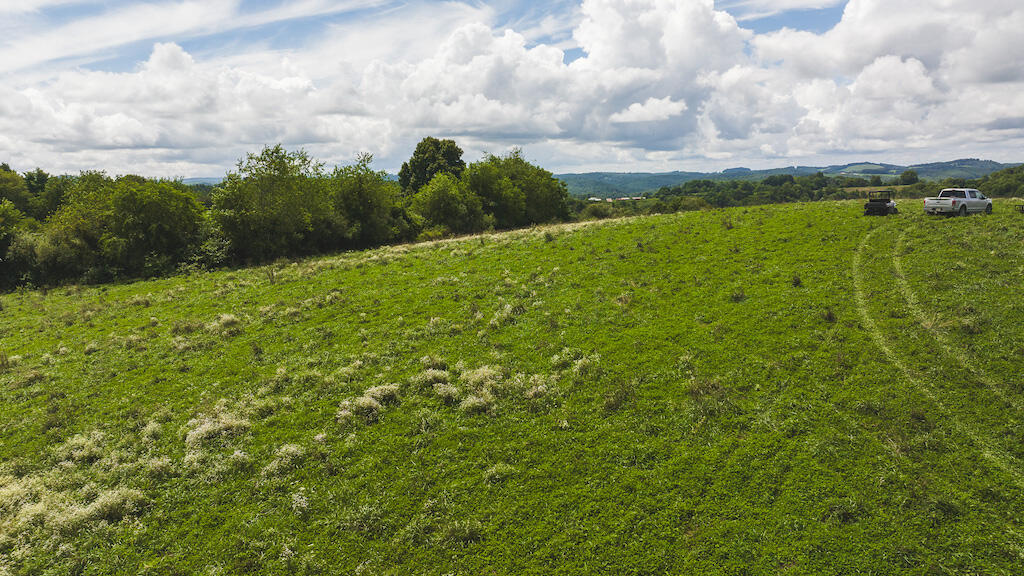 TBD Hoover Rd, Hillsville, Virginia image 9