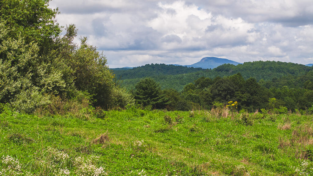 TBD Hoover Rd, Hillsville, Virginia image 4