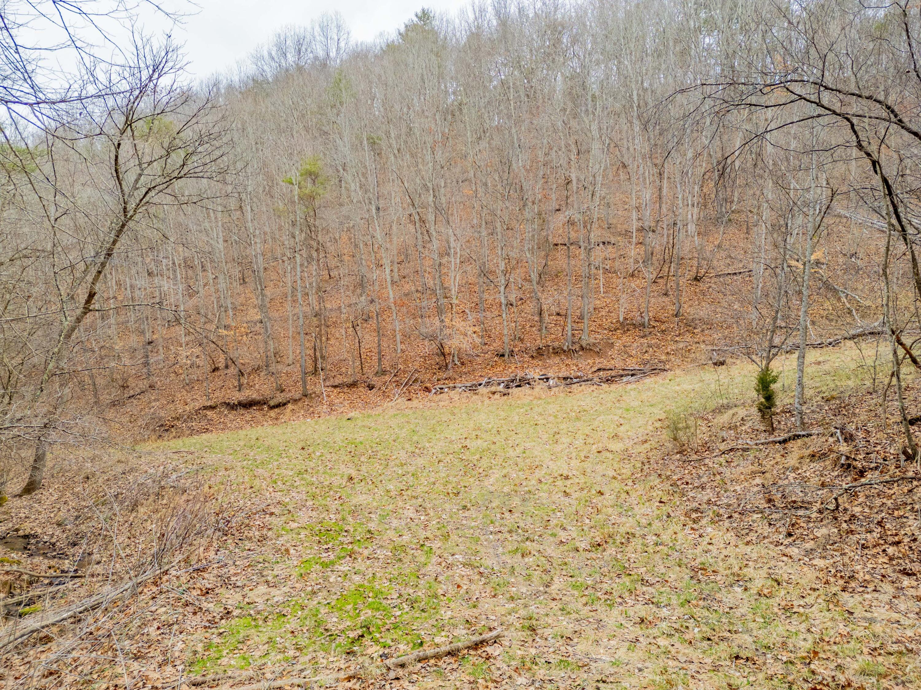 5693 Nunn Hollow Rd, Hiwassee, Virginia image 24