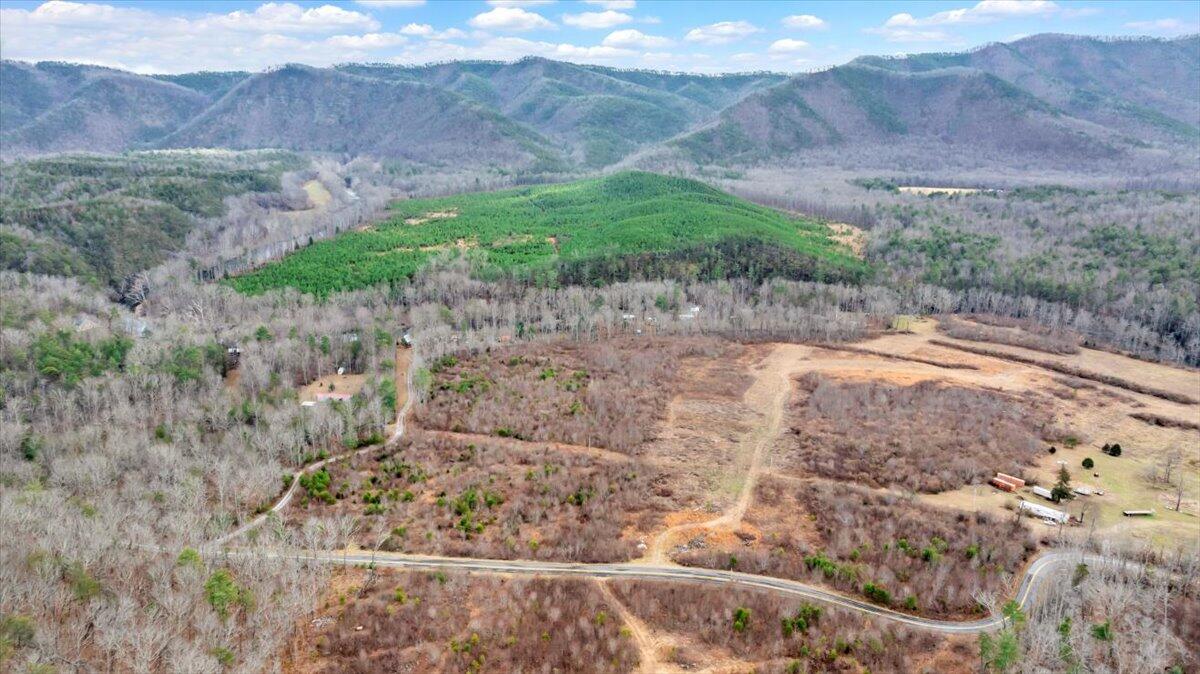 Craig Creek Rd, Eagle Rock, Virginia image 22