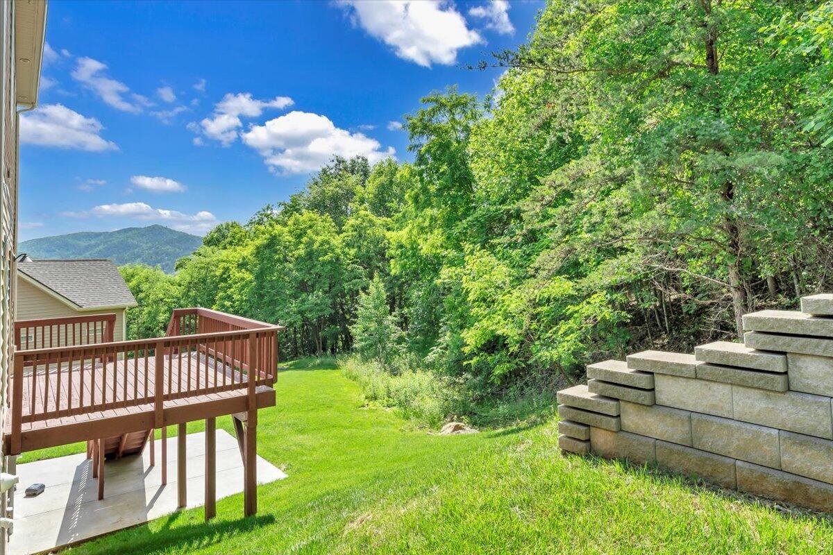 7019 Linn Cove Ct, Roanoke, Virginia image 42
