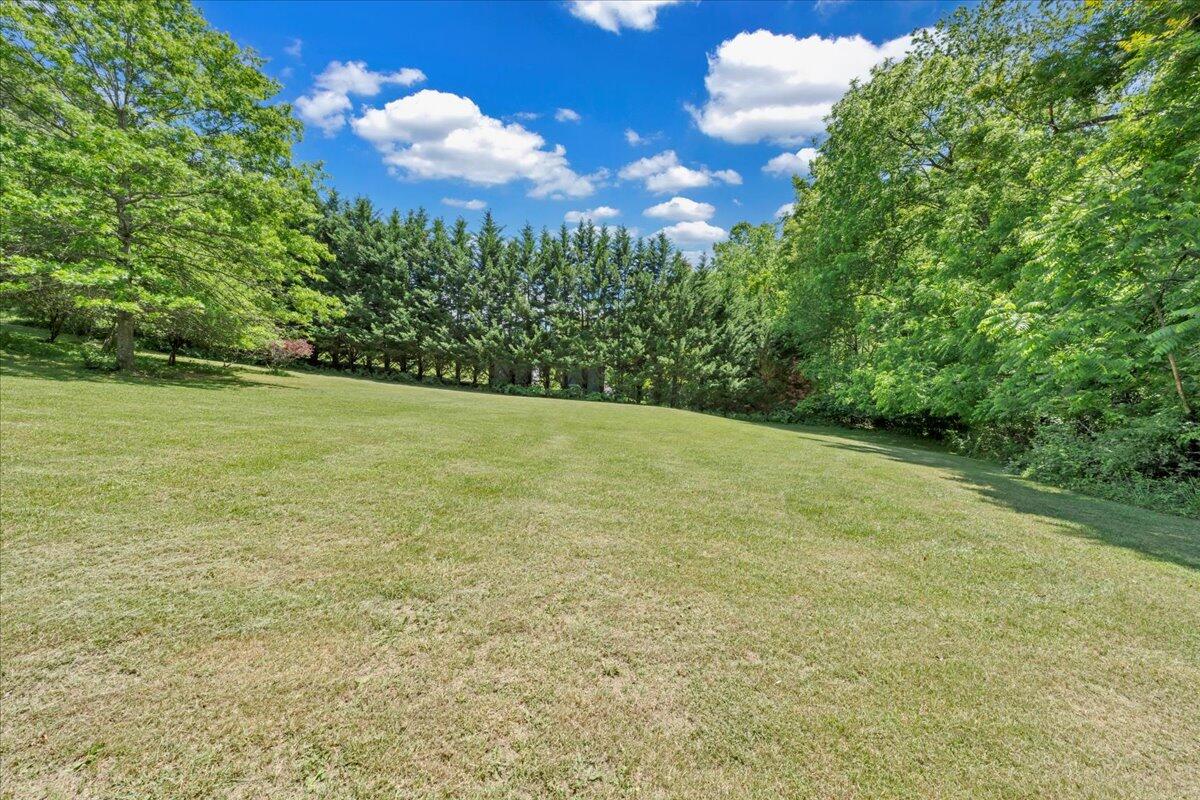 1793 Sandy Level Rd, Goodview, Virginia image 5