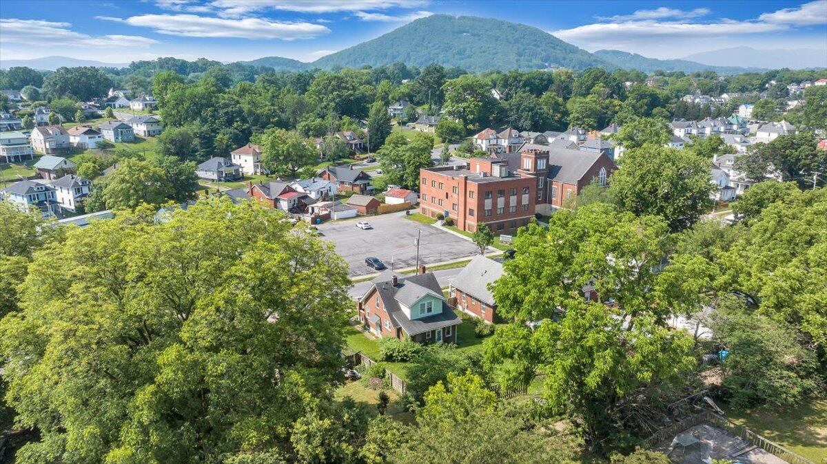 1124 Jamison Ave, Roanoke, Virginia image 4