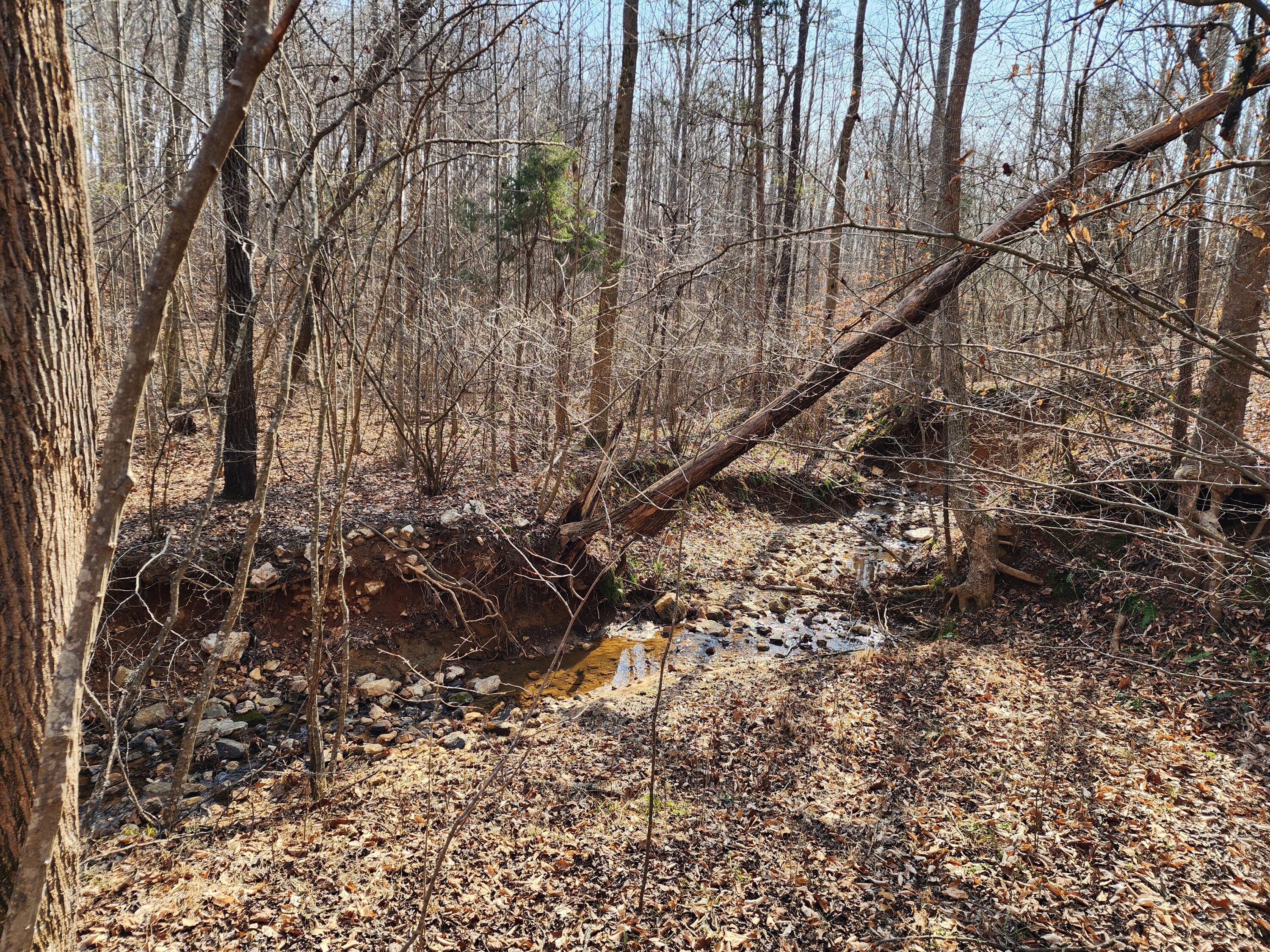 Lot 18 Turkey Run Ln, Wirtz, Virginia image 3