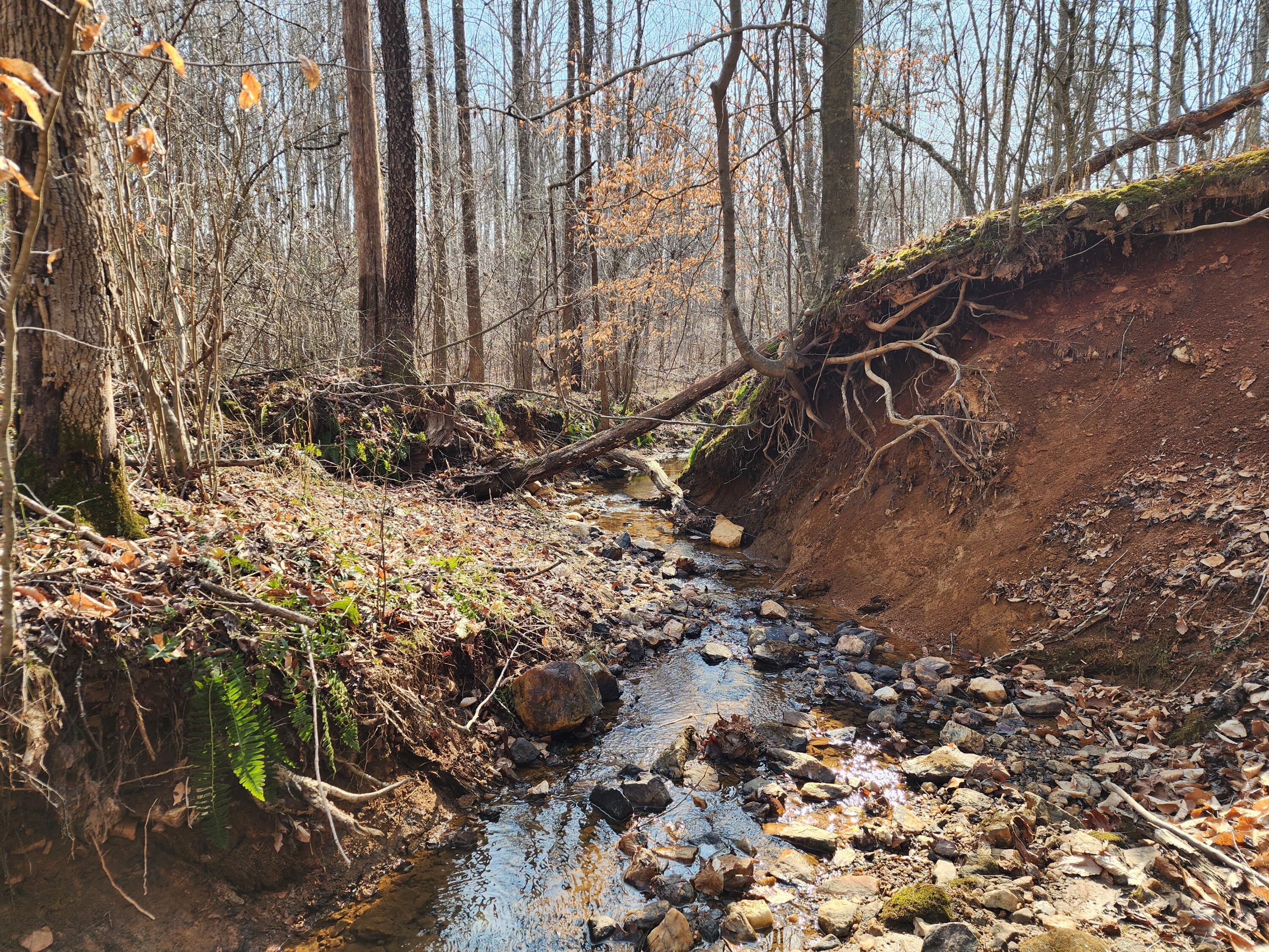 Lot 18 Turkey Run Ln, Wirtz, Virginia image 2