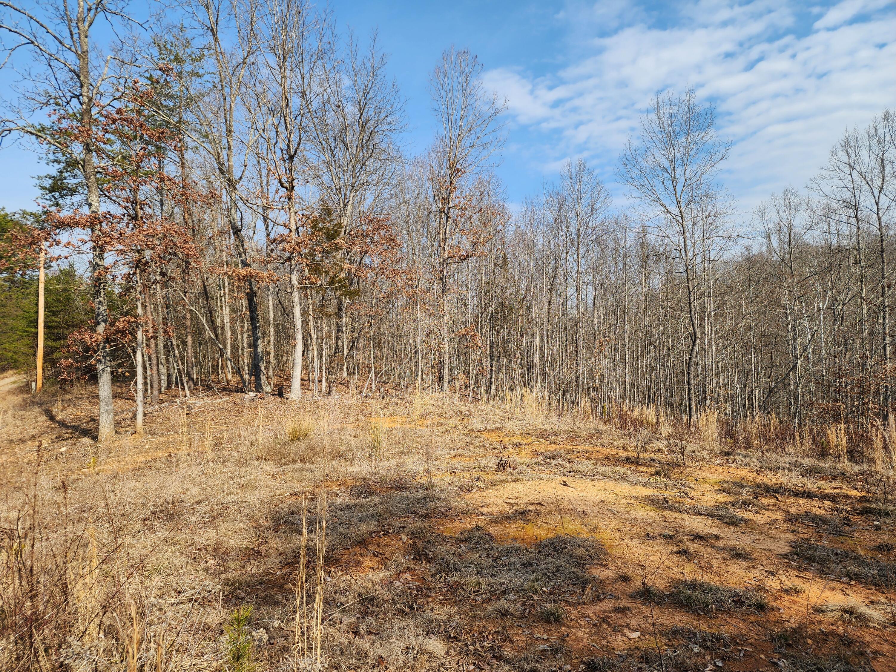 Lot 18 Turkey Run Ln, Wirtz, Virginia image 1