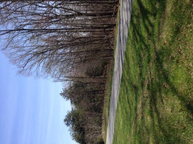 Penhook, Virginia 24137, United States, ,Land,Active,202914