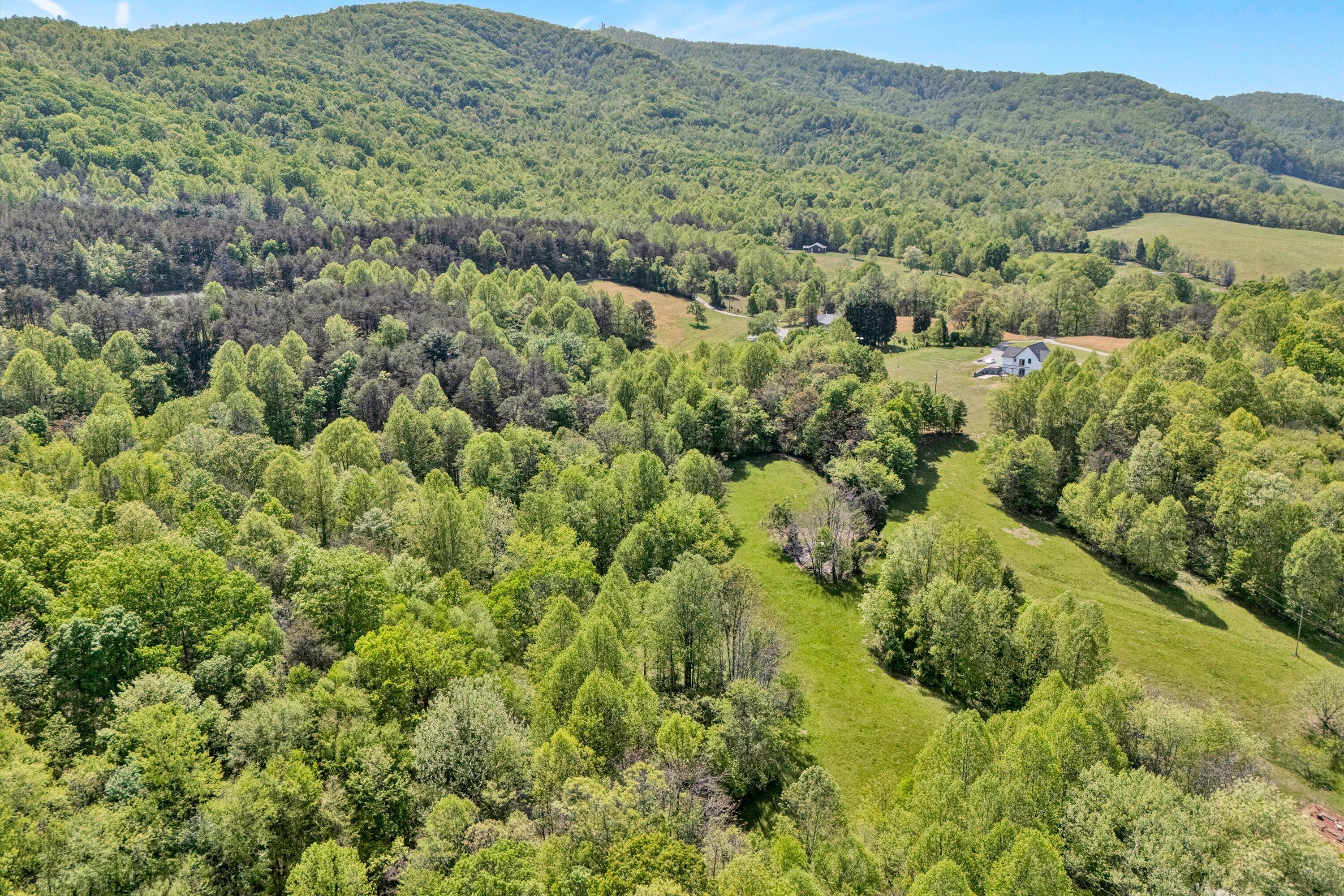 1033 Annie Bell Rd, Blue Ridge, Virginia image 44