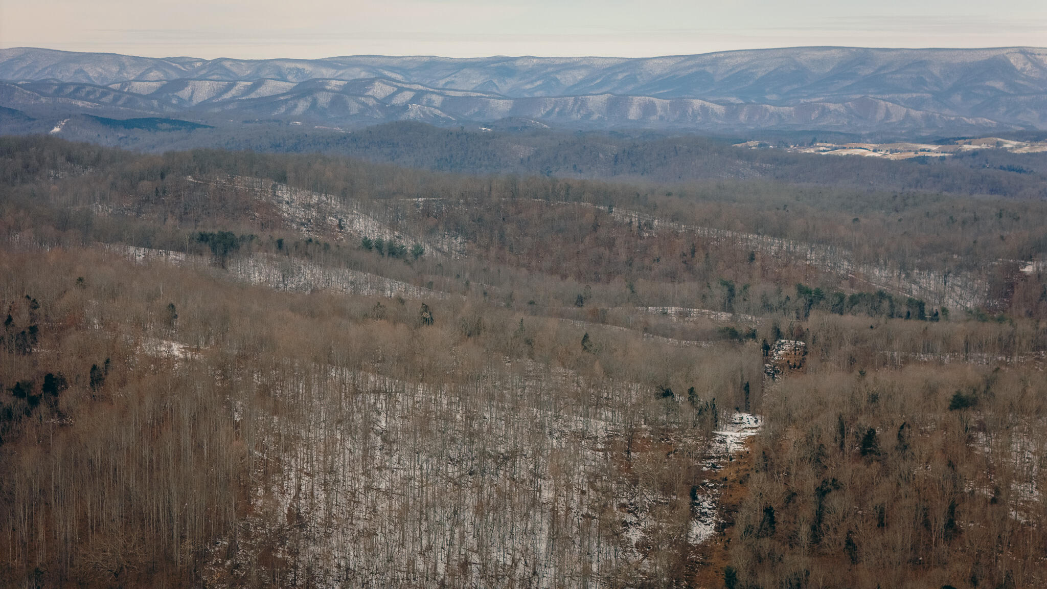 Trebark Rd, Buchanan, Virginia image 4