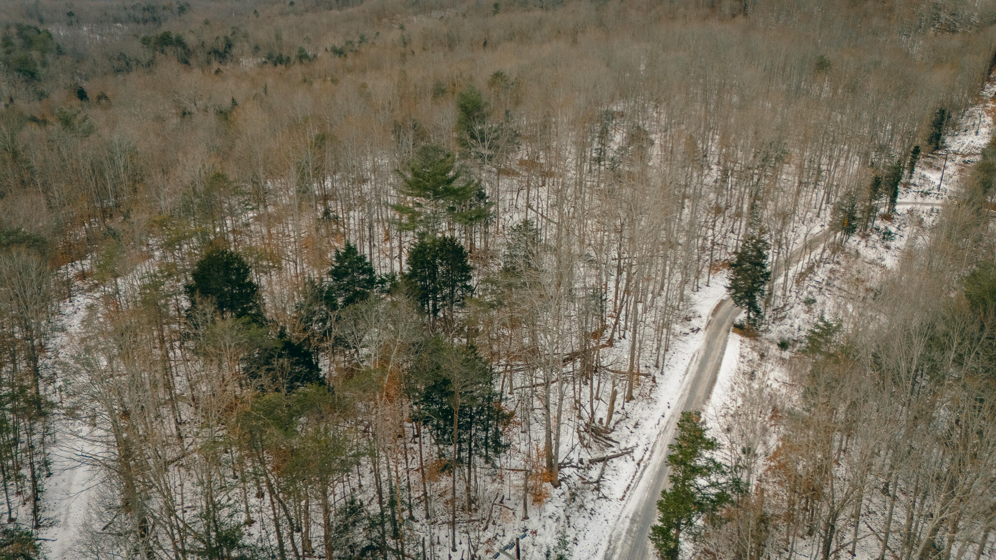 Trebark Rd, Buchanan, Virginia image 8